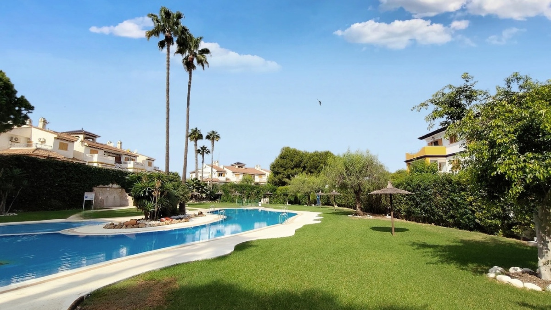 Revente - Appartement - Orihuela - Mil Palmeras