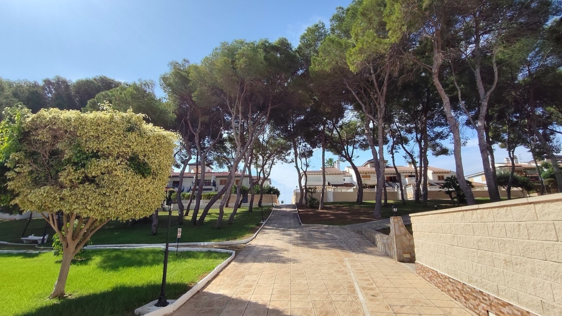 Revente - Appartement - Orihuela - Mil Palmeras