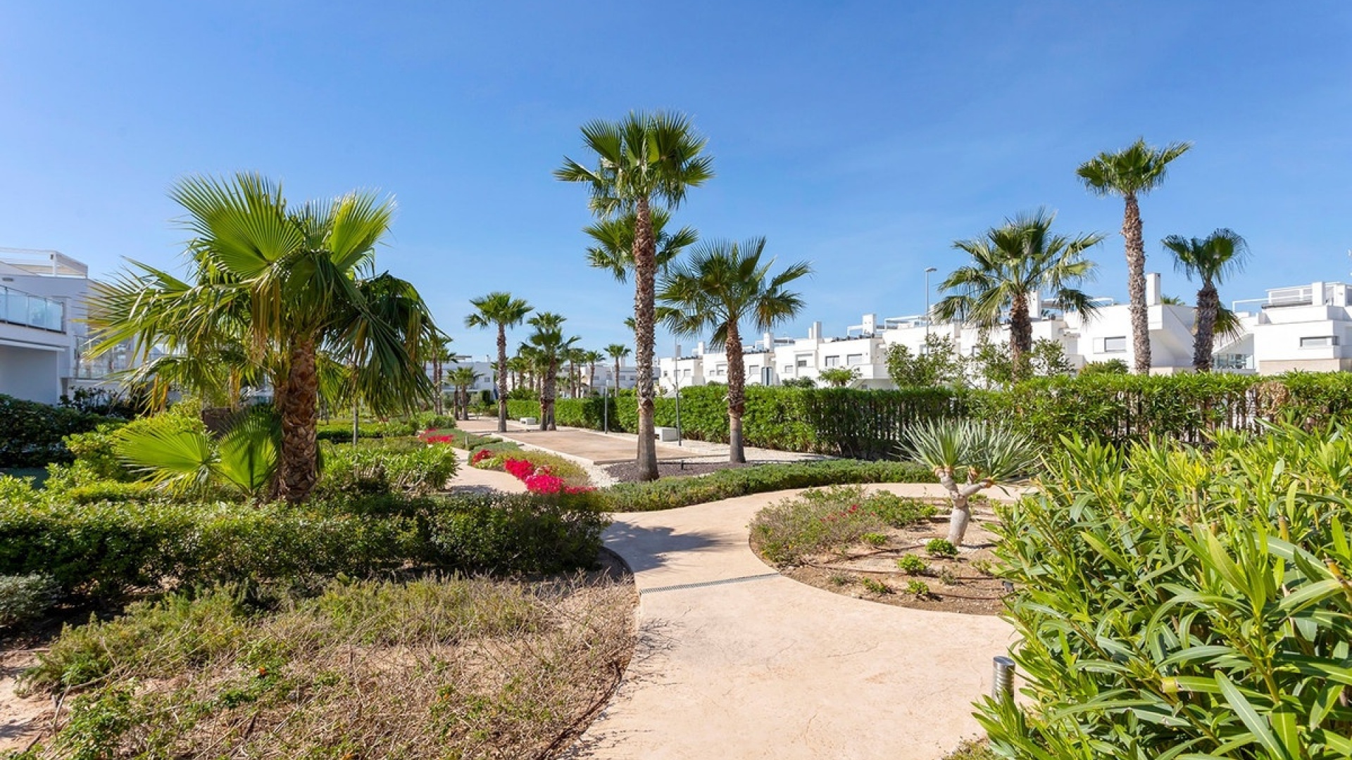 Revente - Appartement - Orihuela - Vistabella Golf Resort