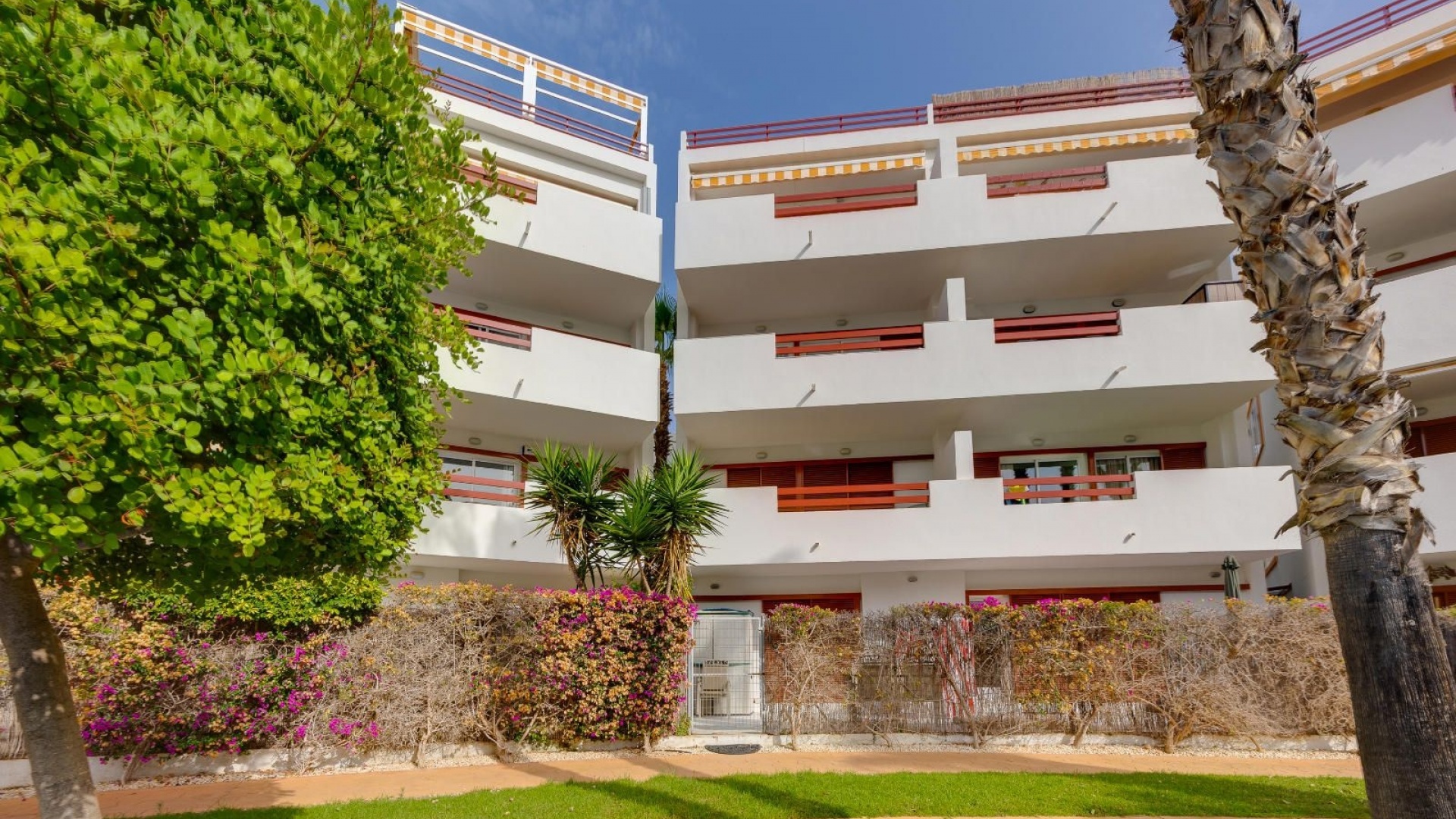 Revente - Appartement - Playa Flamenca - el rincon