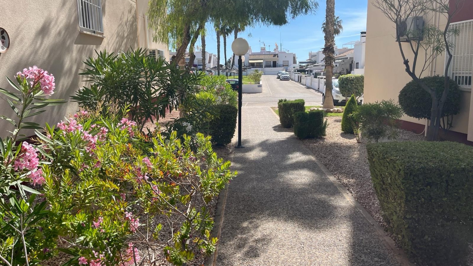 Revente - Appartement - Playa Flamenca - jumilla