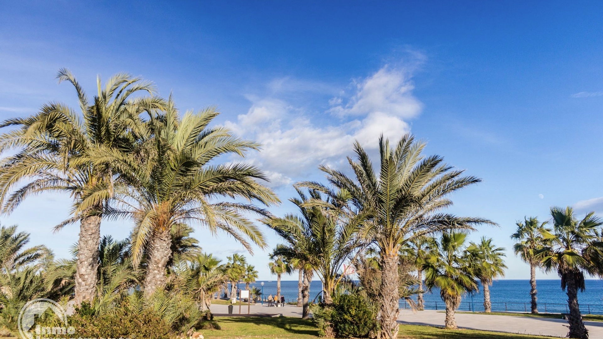 Revente - Appartement - Playa Flamenca - la calma
