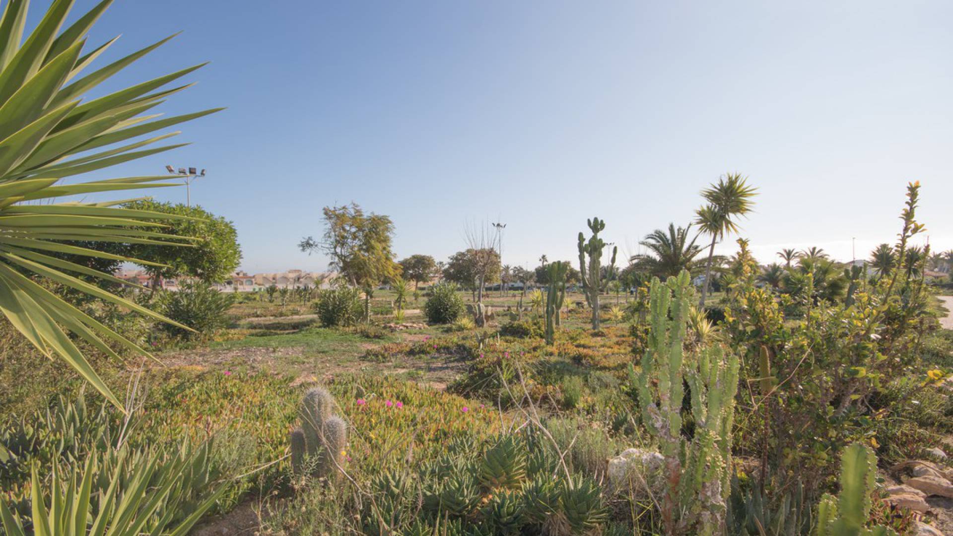 Revente - Appartement - Playa Flamenca - la concha