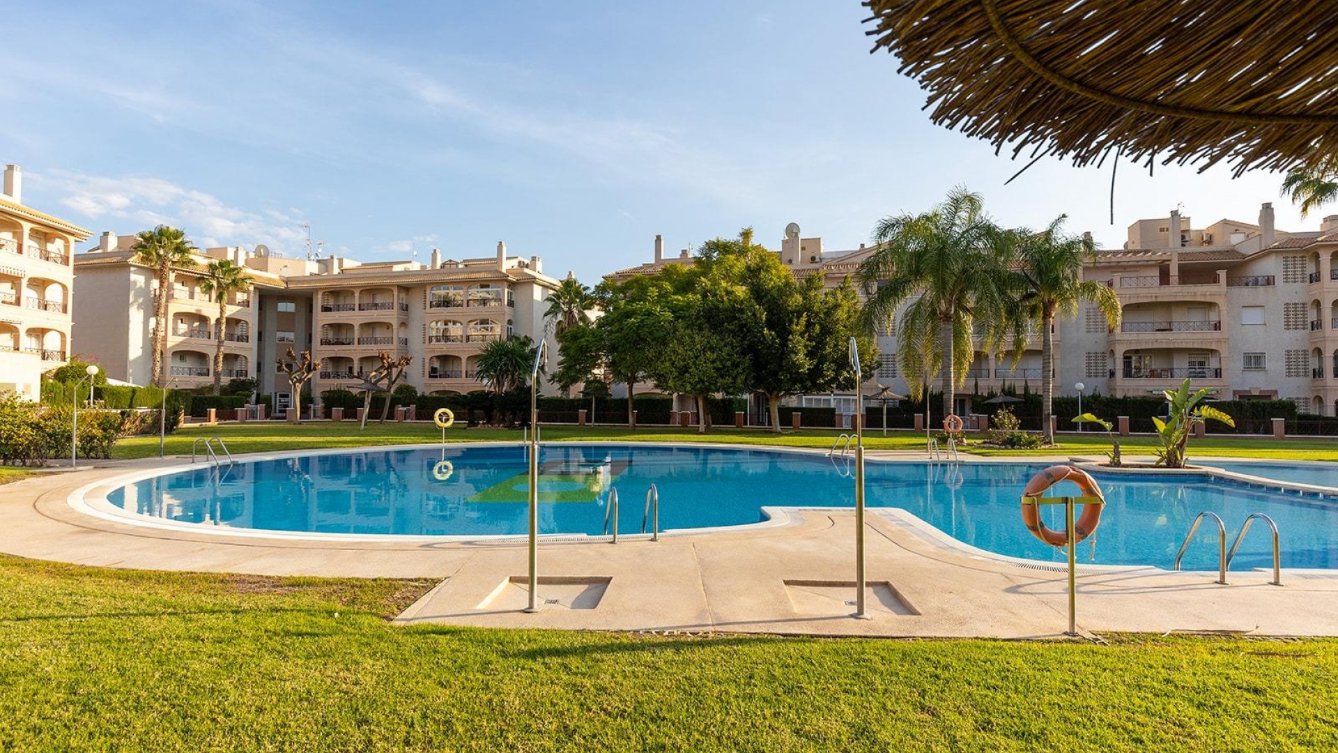 Revente - Appartement - Playa Flamenca - Laguna Golf