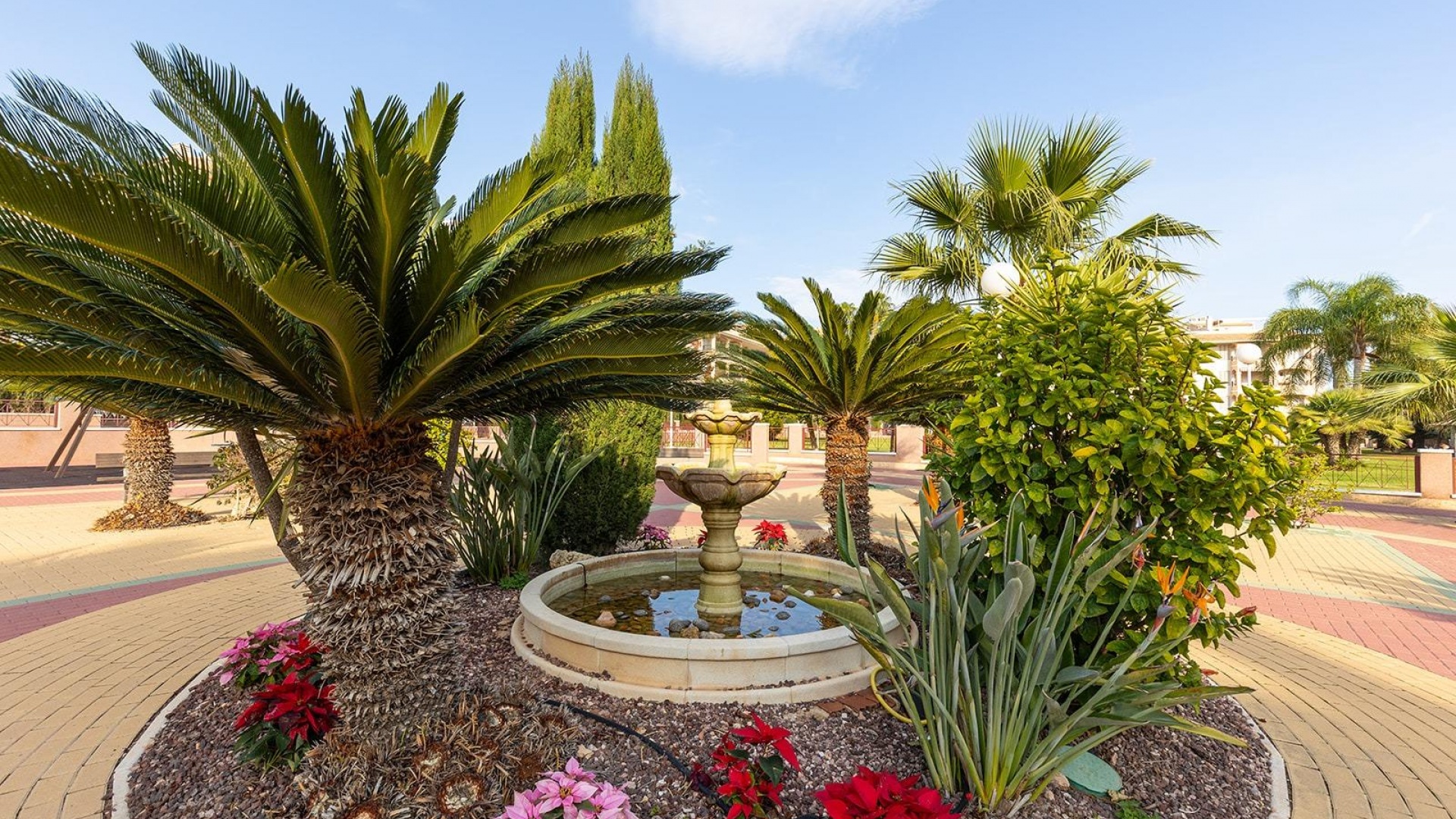 Revente - Appartement - Playa Flamenca - Laguna Golf