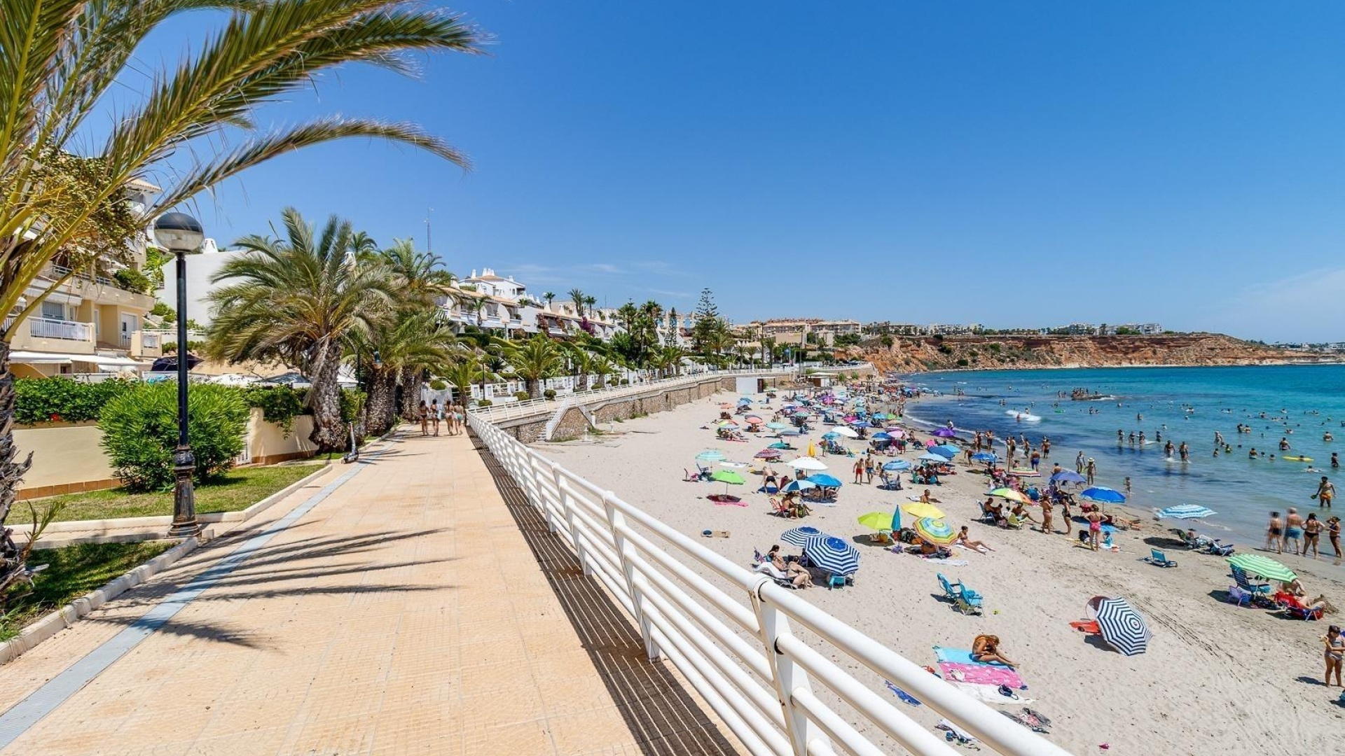 Revente - Appartement - Playa Flamenca - Laguna Golf