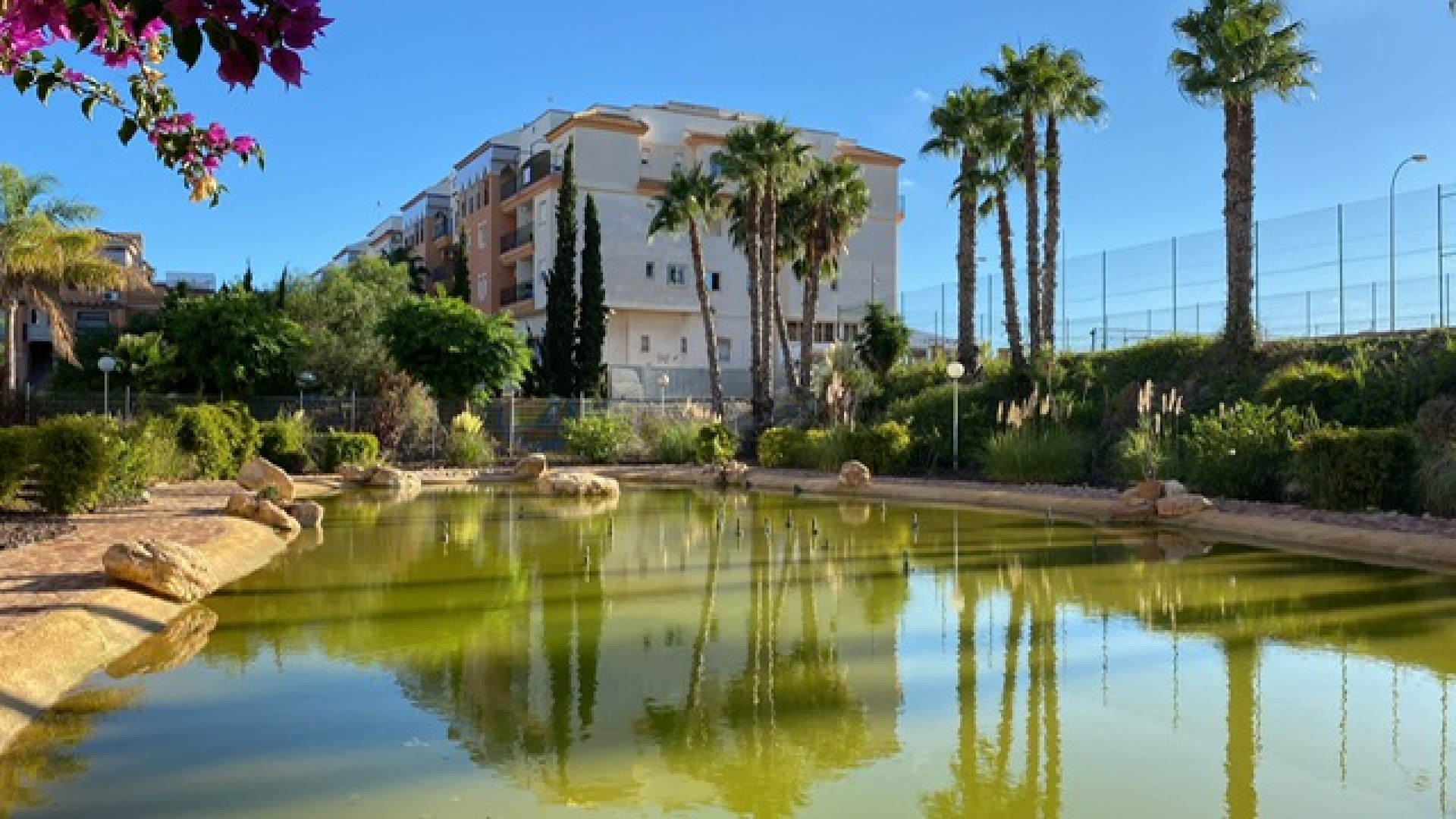 Revente - Appartement - Playa Flamenca - Laguna Golf