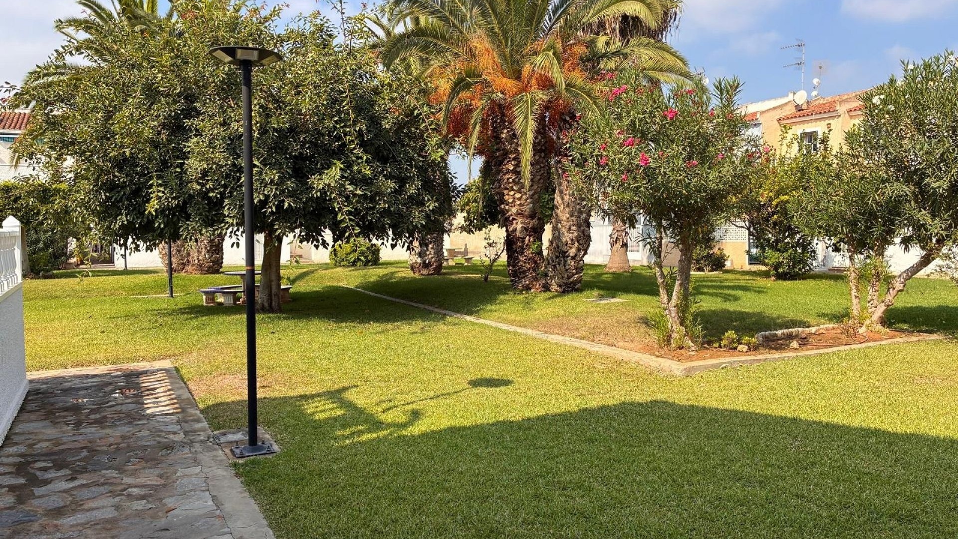 Revente - Appartement - Playa Flamenca - las chismosas