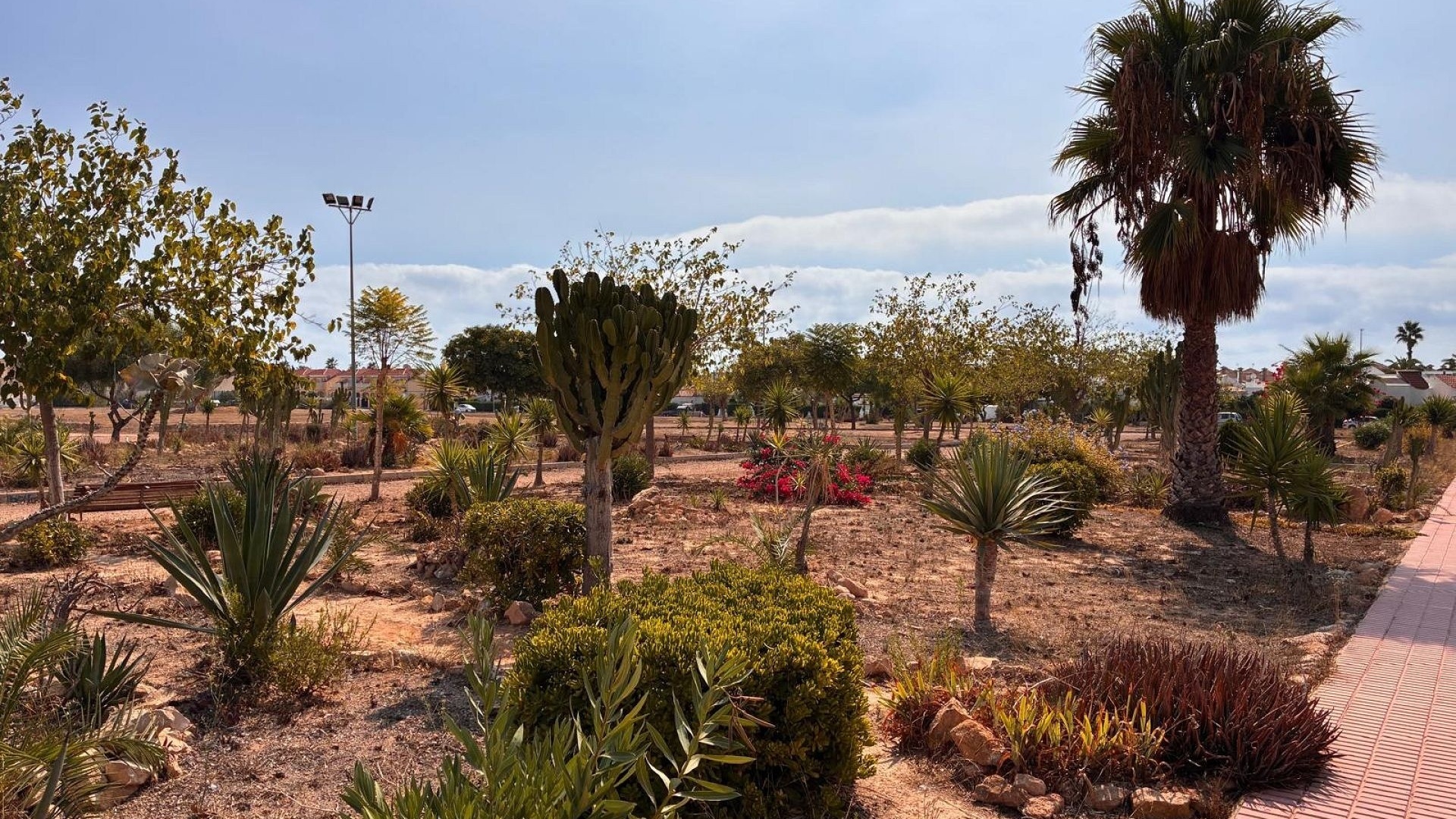 Revente - Appartement - Playa Flamenca - las chismosas