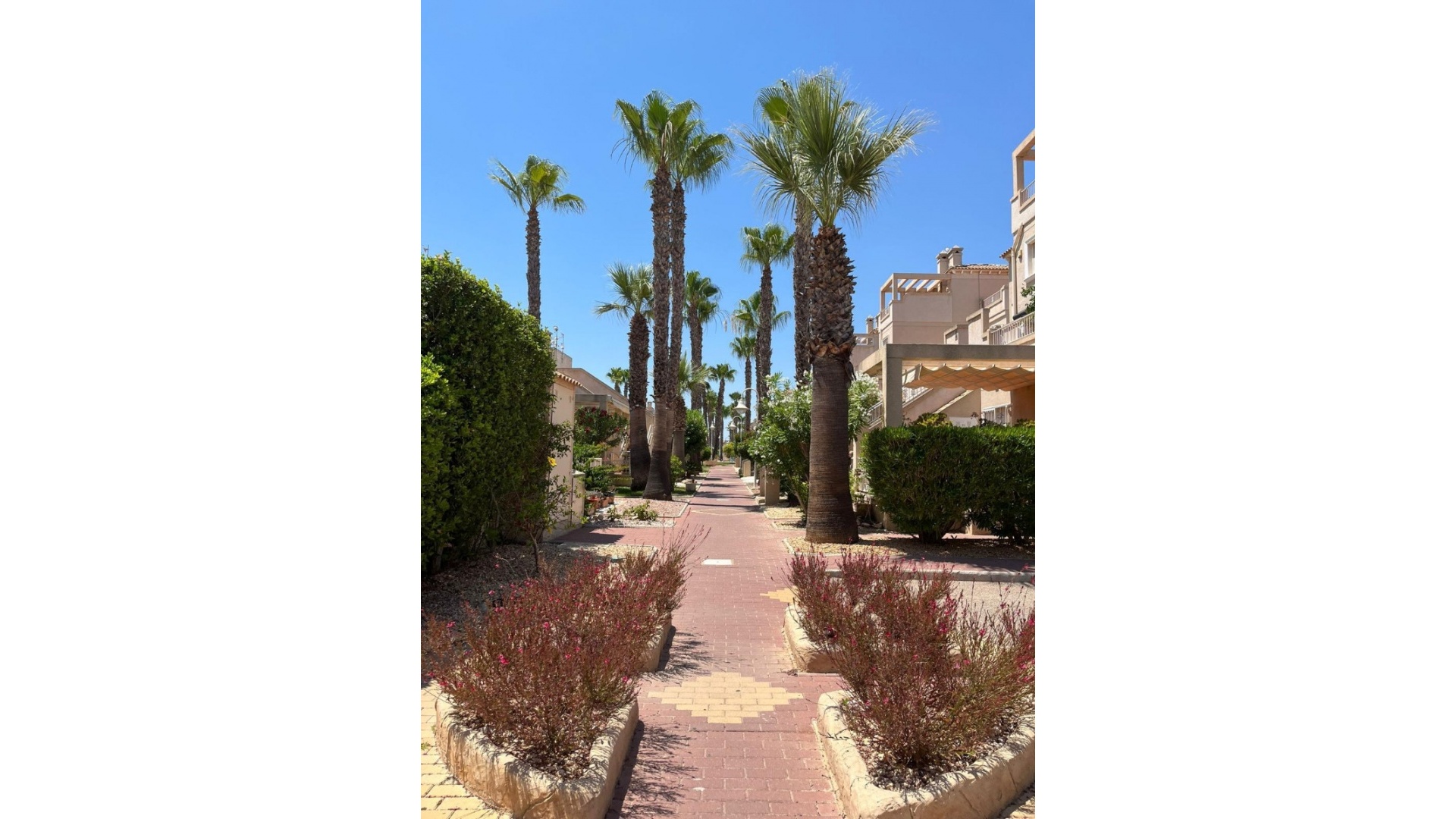 Revente - Appartement - Playa Flamenca - miraflores