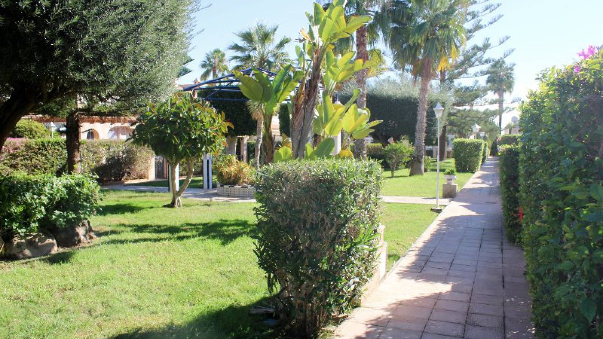 Revente - Appartement - Playa Flamenca - miraflores