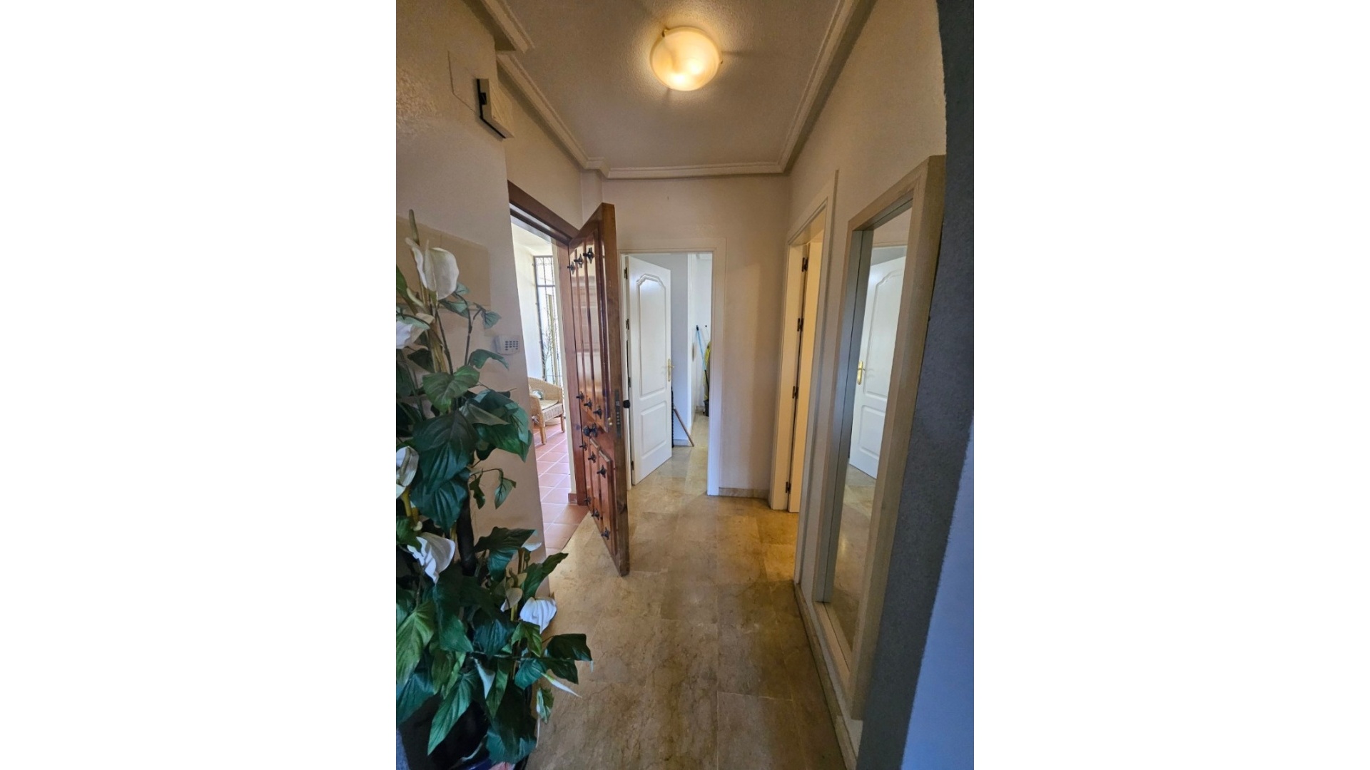 Revente - Appartement - Playa Flamenca - Montilla