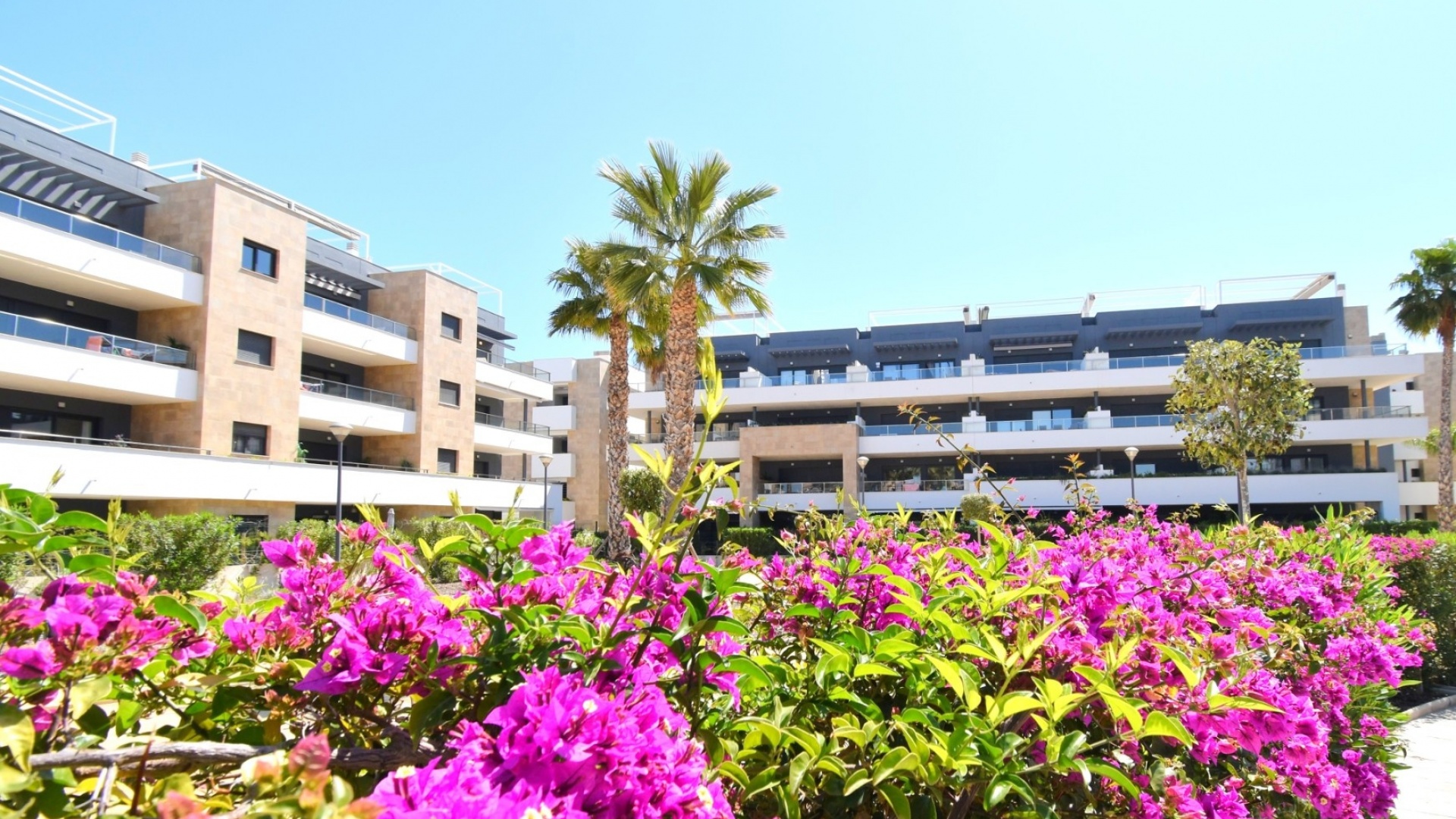 Revente - Appartement - Playa Flamenca - Res. Flamenca Village