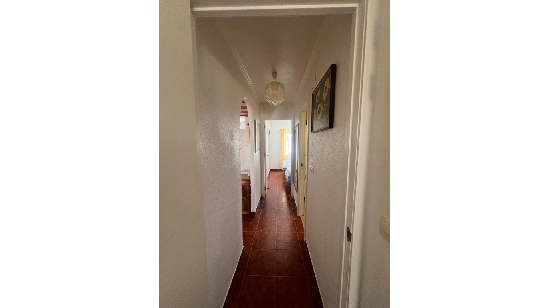 Revente - Appartement - Playa Flamenca - Urb Horizonte