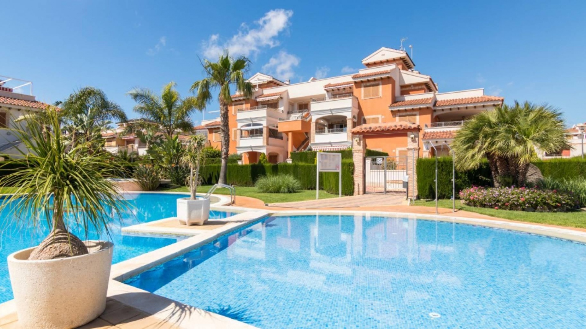 Revente - Appartement - Playa Flamenca - zeniamar