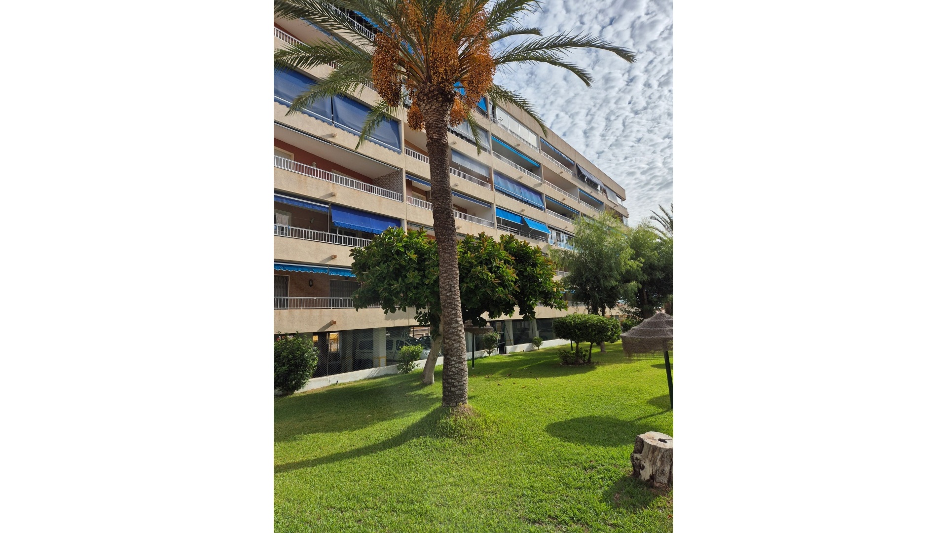 Revente - Appartement - Punta Prima - beachside punta prima