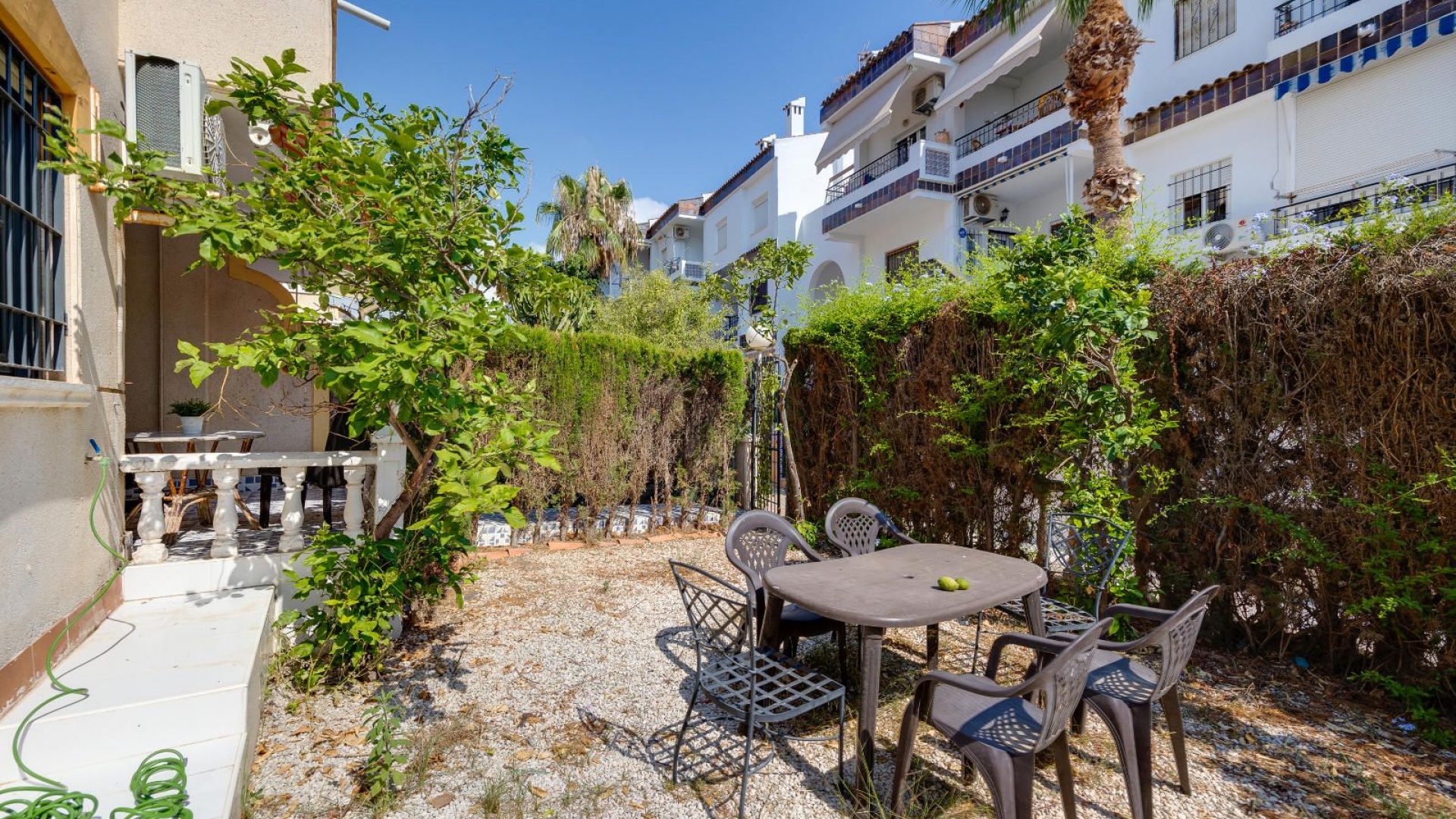 Revente - Appartement - Punta Prima - beachside punta prima