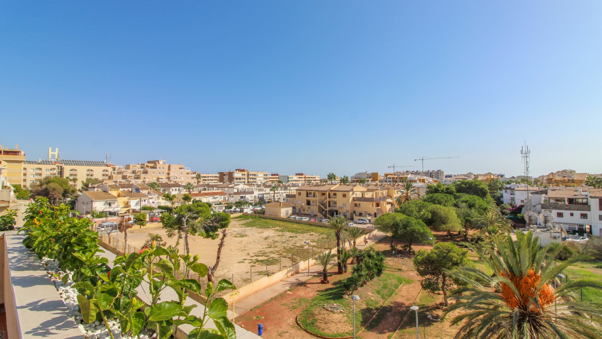 Revente - Appartement - Punta Prima - Beachside