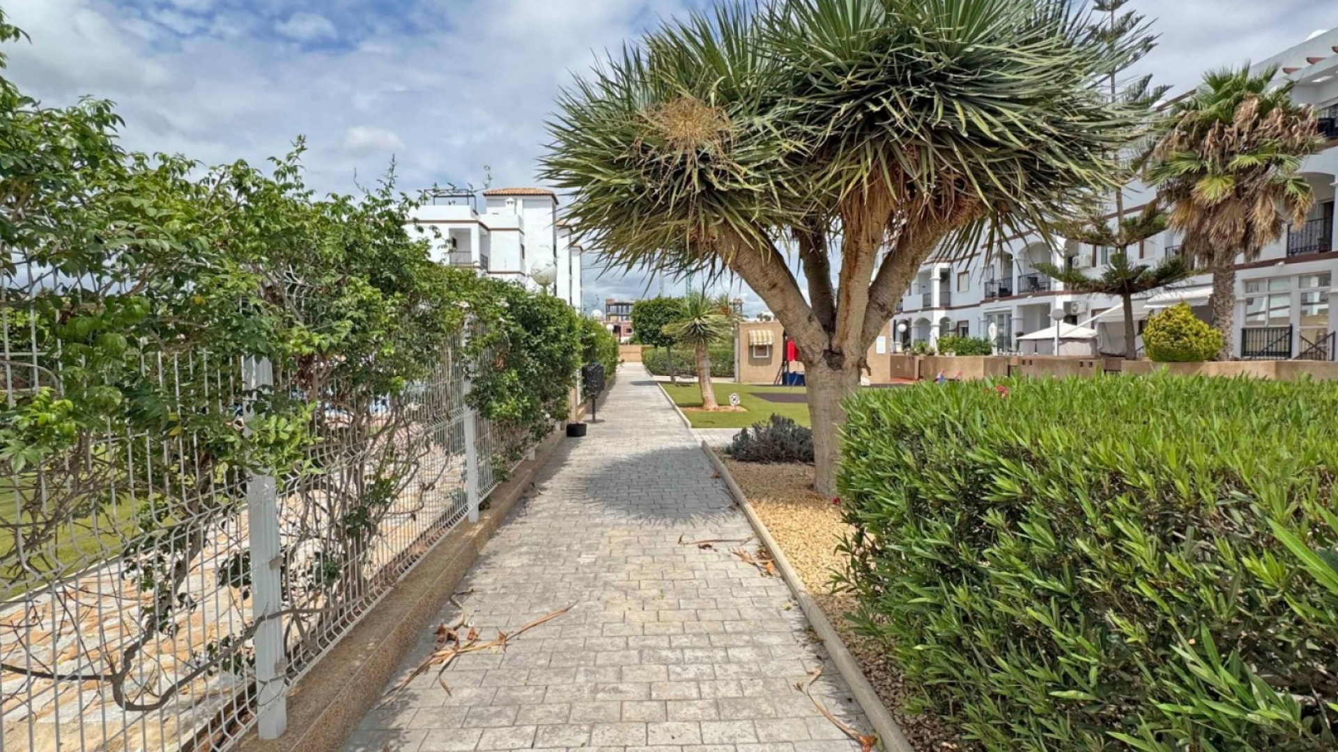 Revente - Appartement - Punta Prima - La Cinuelica