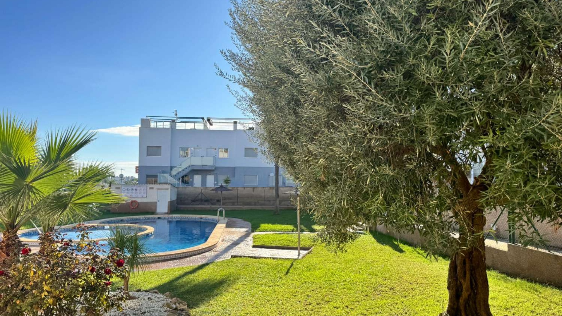 Revente - Appartement - Punta Prima - La Cinuelica