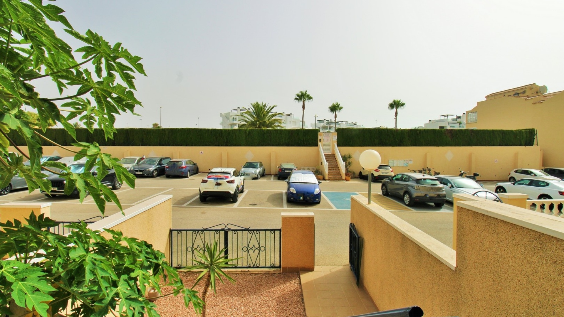 Revente - Appartement - Punta Prima - La Cinuelica