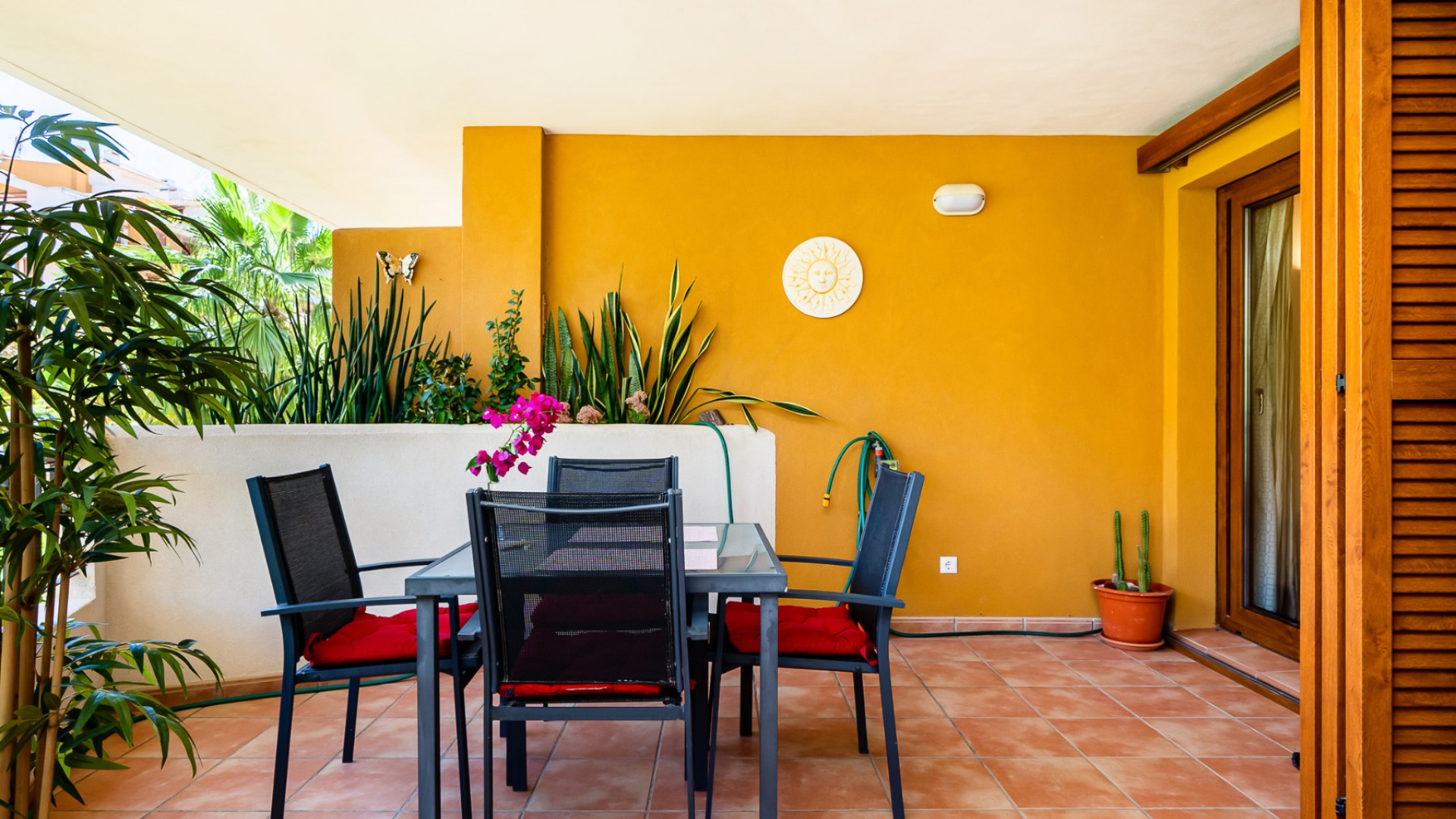 Revente - Appartement - Punta Prima - la entrada