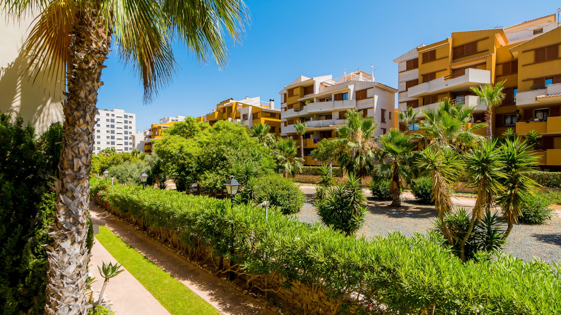 Revente - Appartement - Punta Prima - la entrada