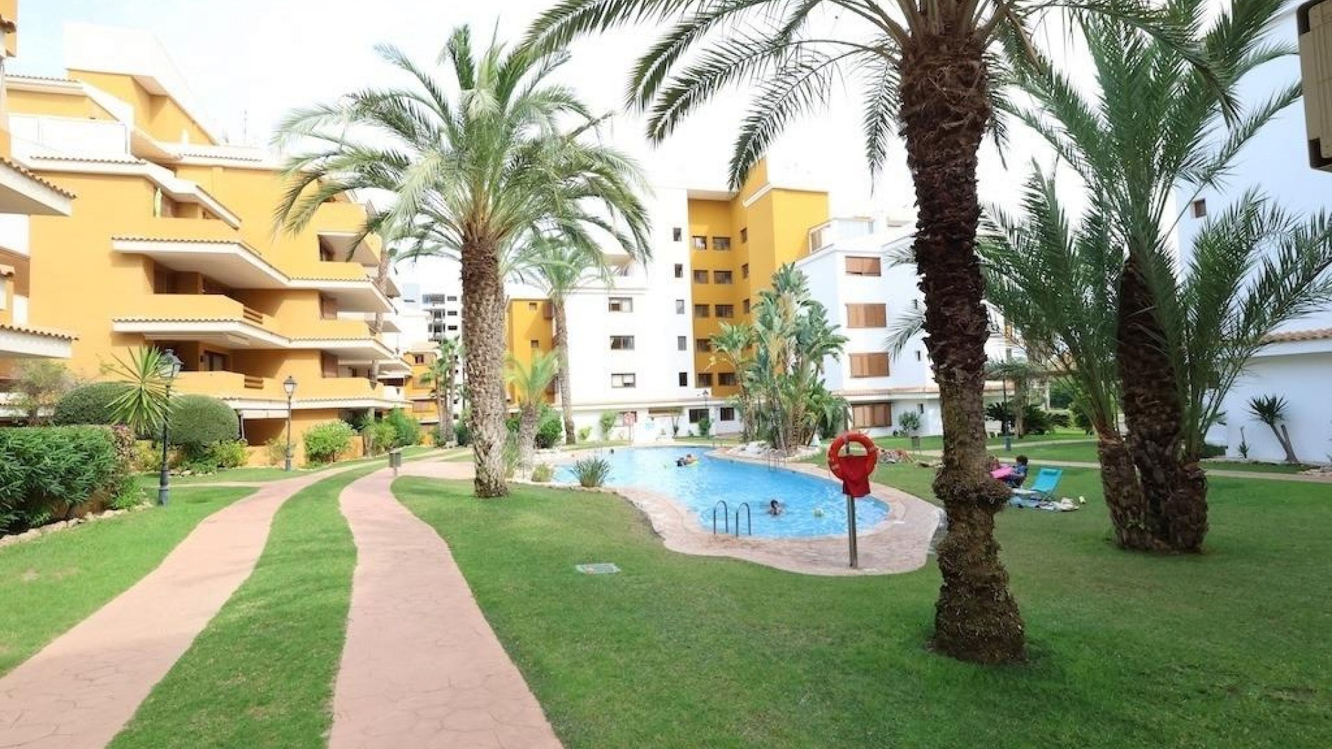 Revente - Appartement - Punta Prima - la entrada