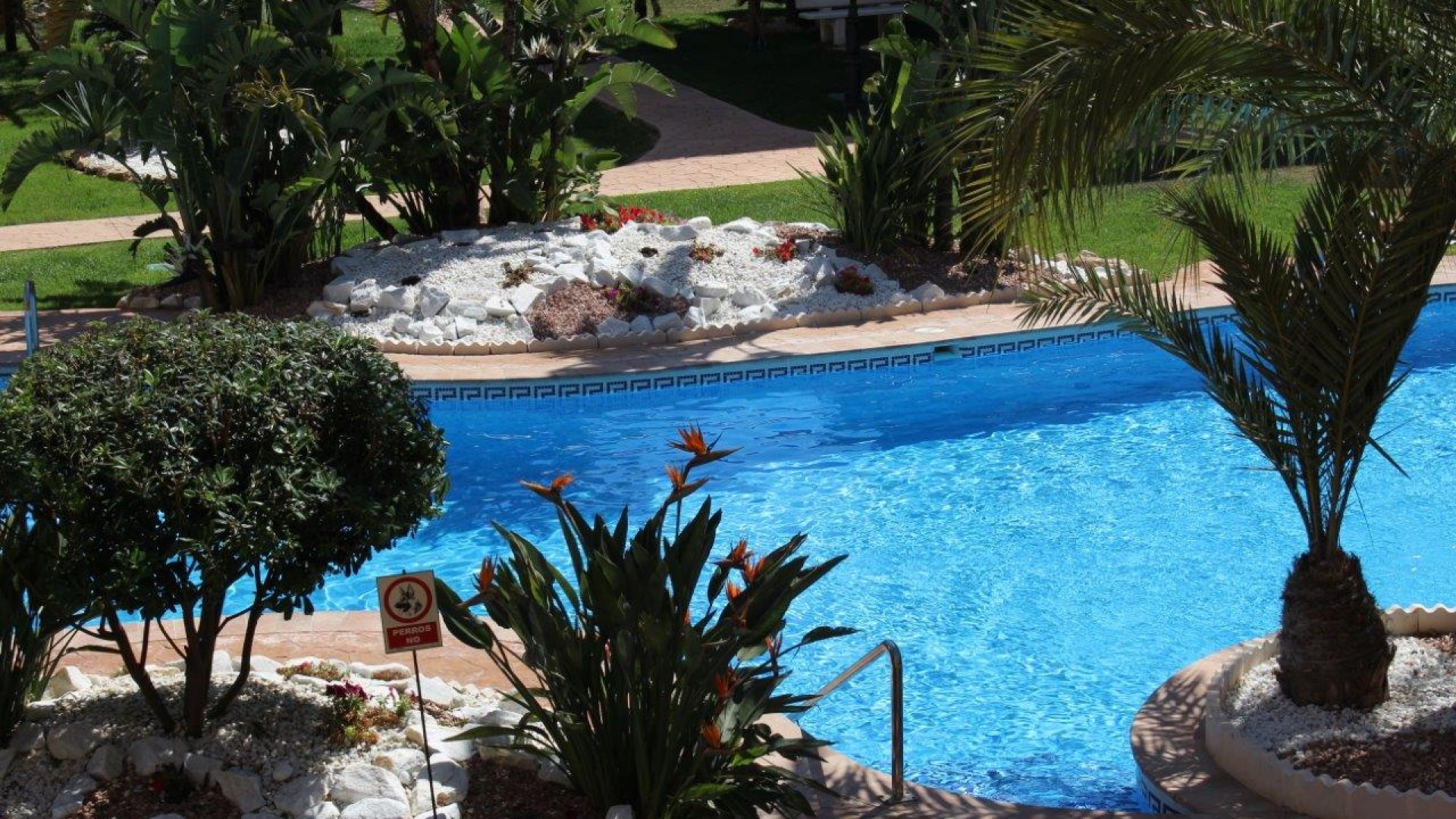 Revente - Appartement - Punta Prima - la entrada