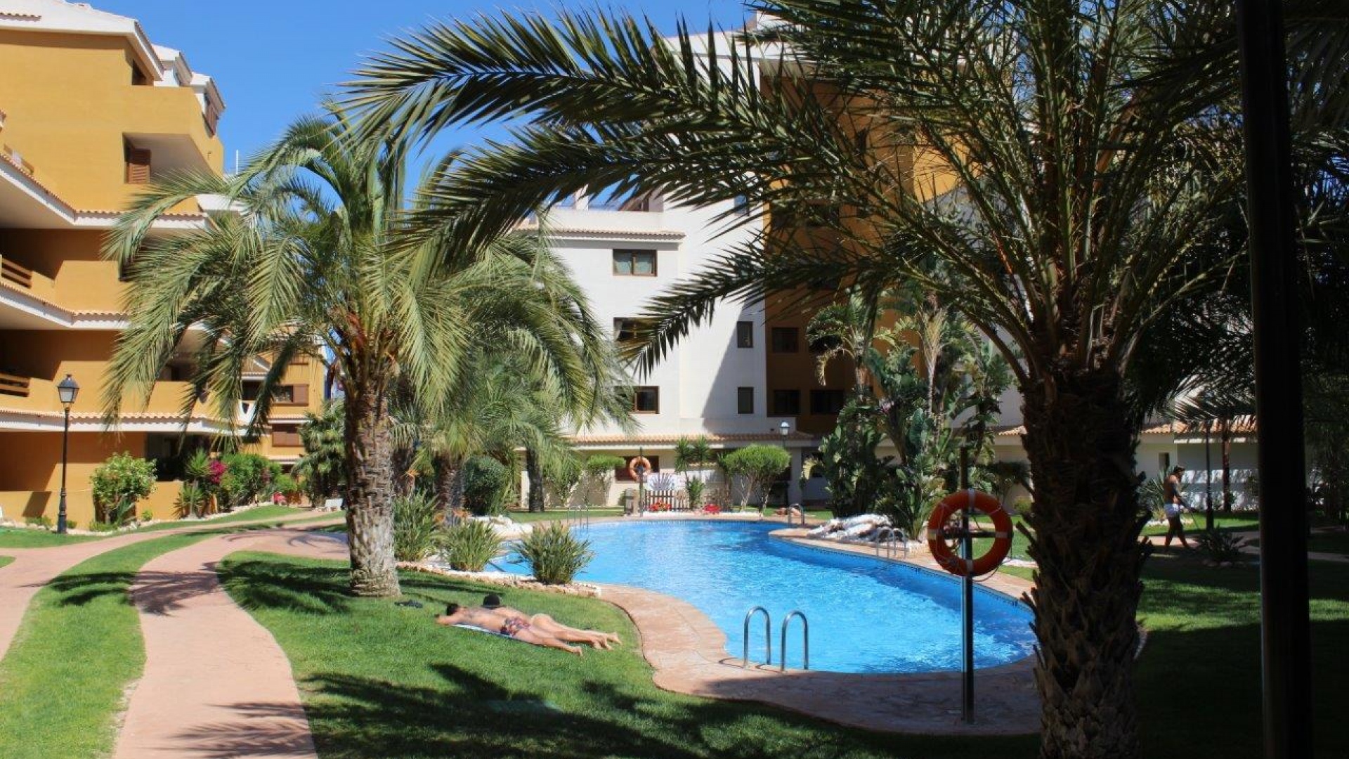 Revente - Appartement - Punta Prima - la entrada