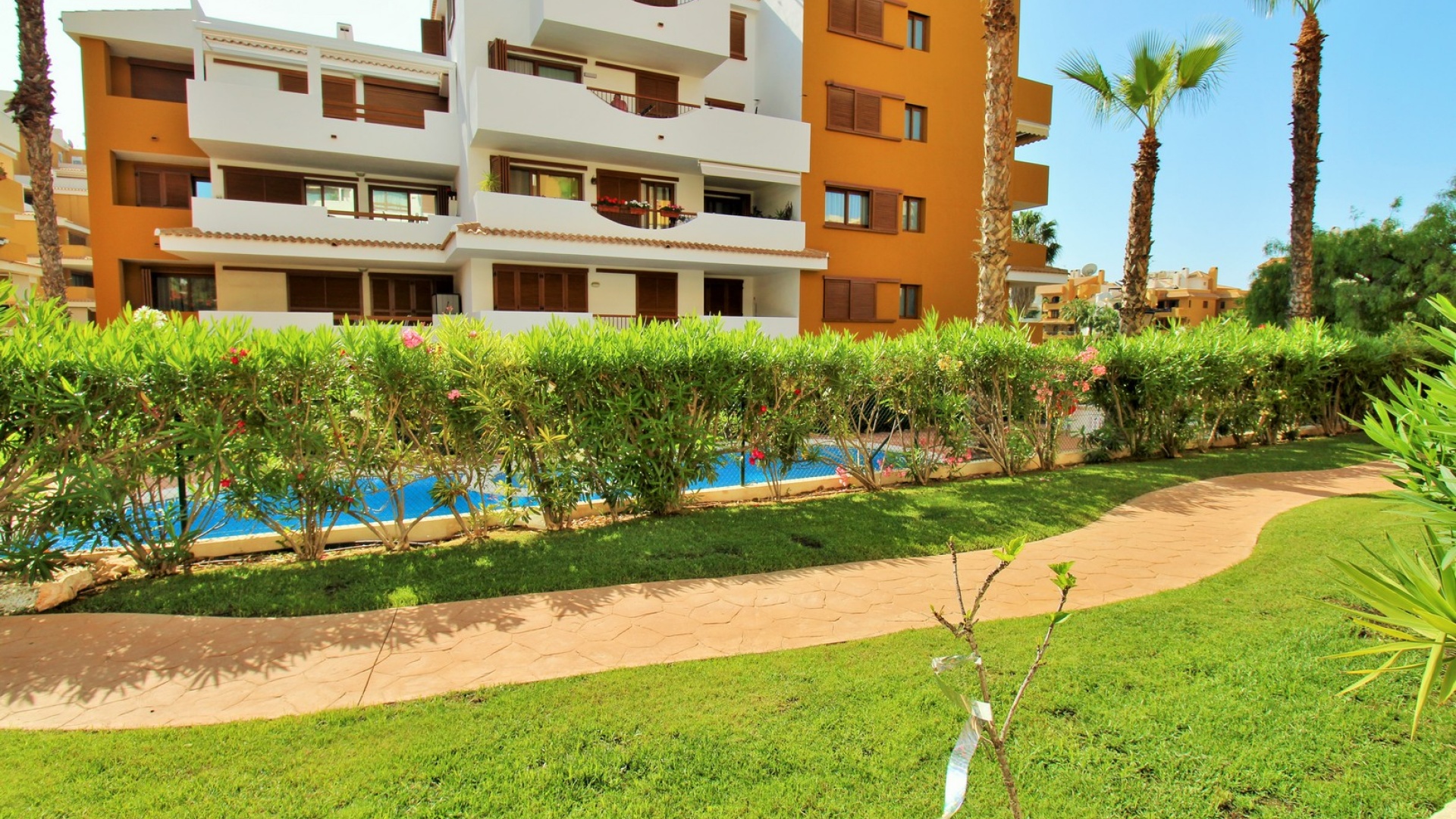 Revente - Appartement - Punta Prima - la entrada