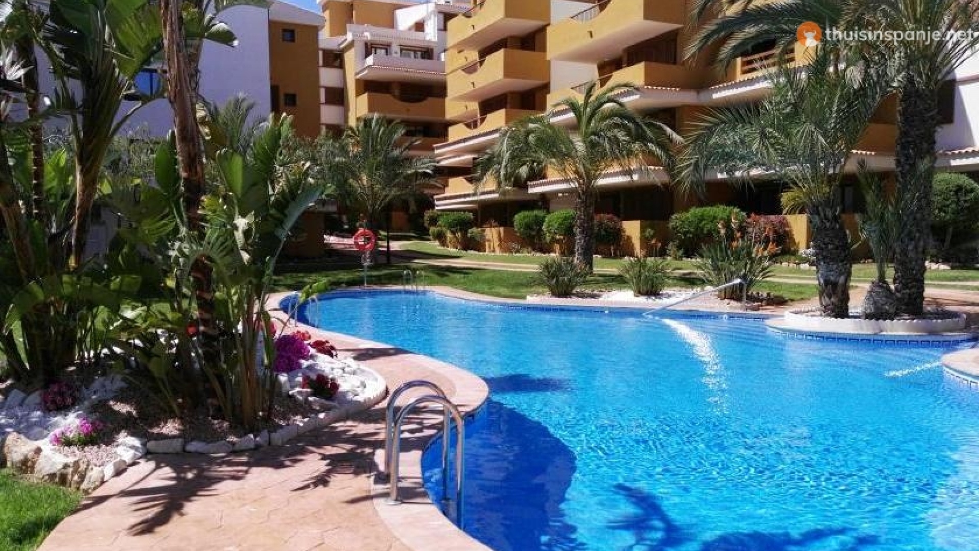 Revente - Appartement - Punta Prima - la entrada