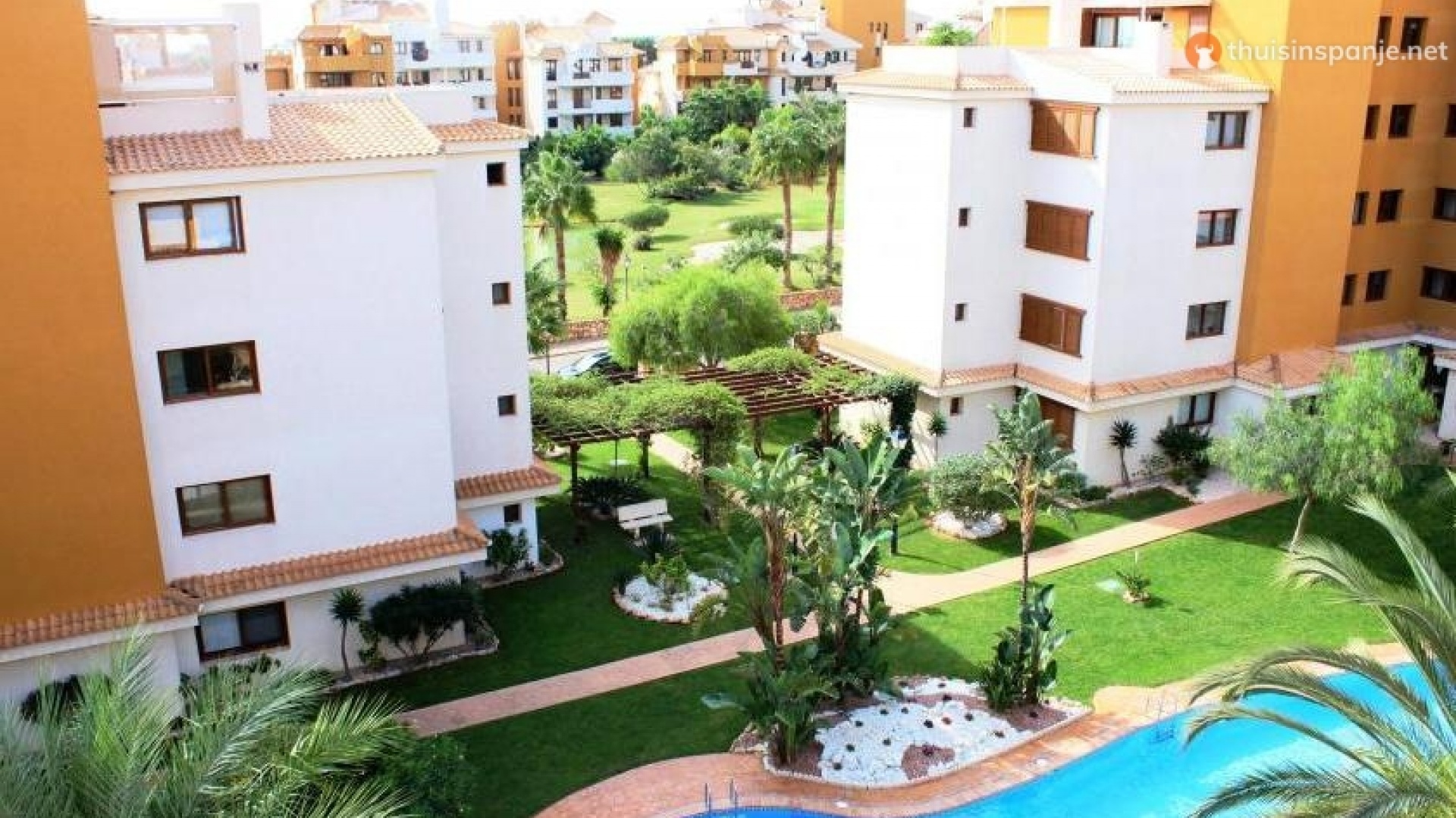 Revente - Appartement - Punta Prima - la entrada