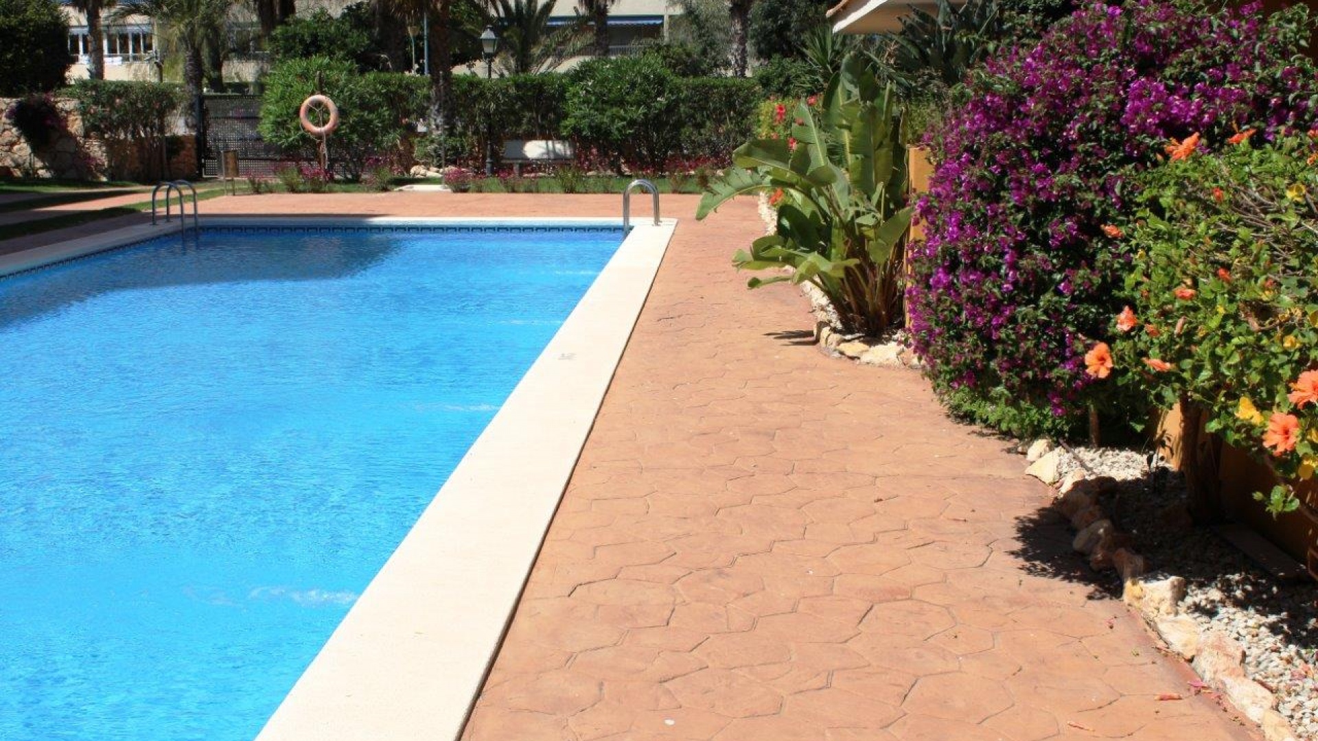 Revente - Appartement - Punta Prima - la entrada