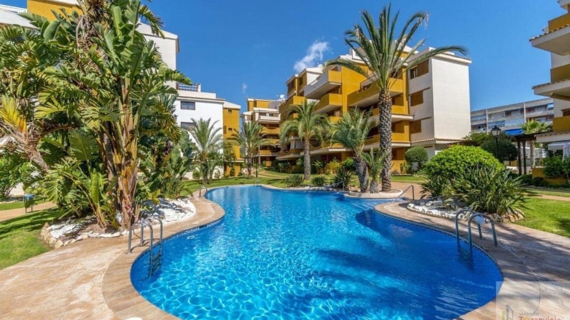 Revente - Appartement - Punta Prima - la entrada