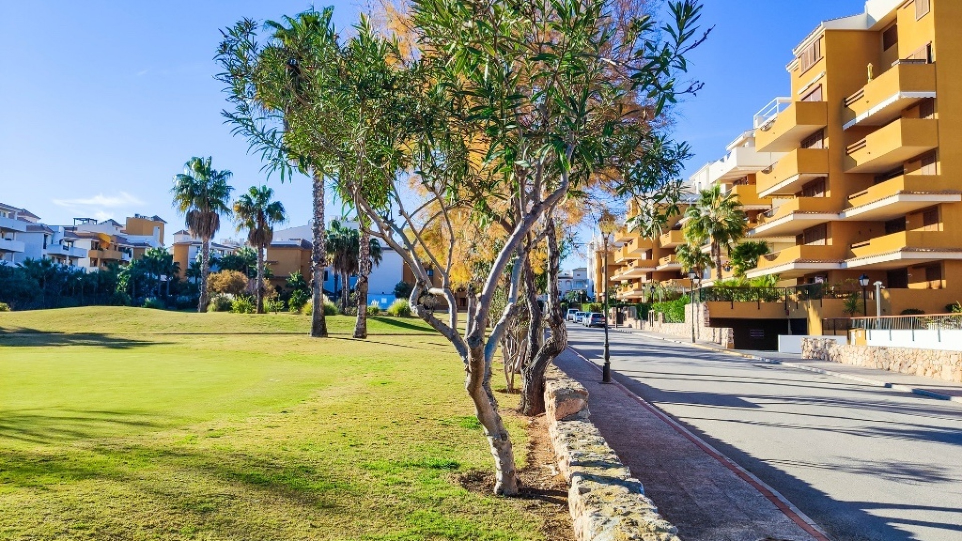 Revente - Appartement - Punta Prima - la entrada