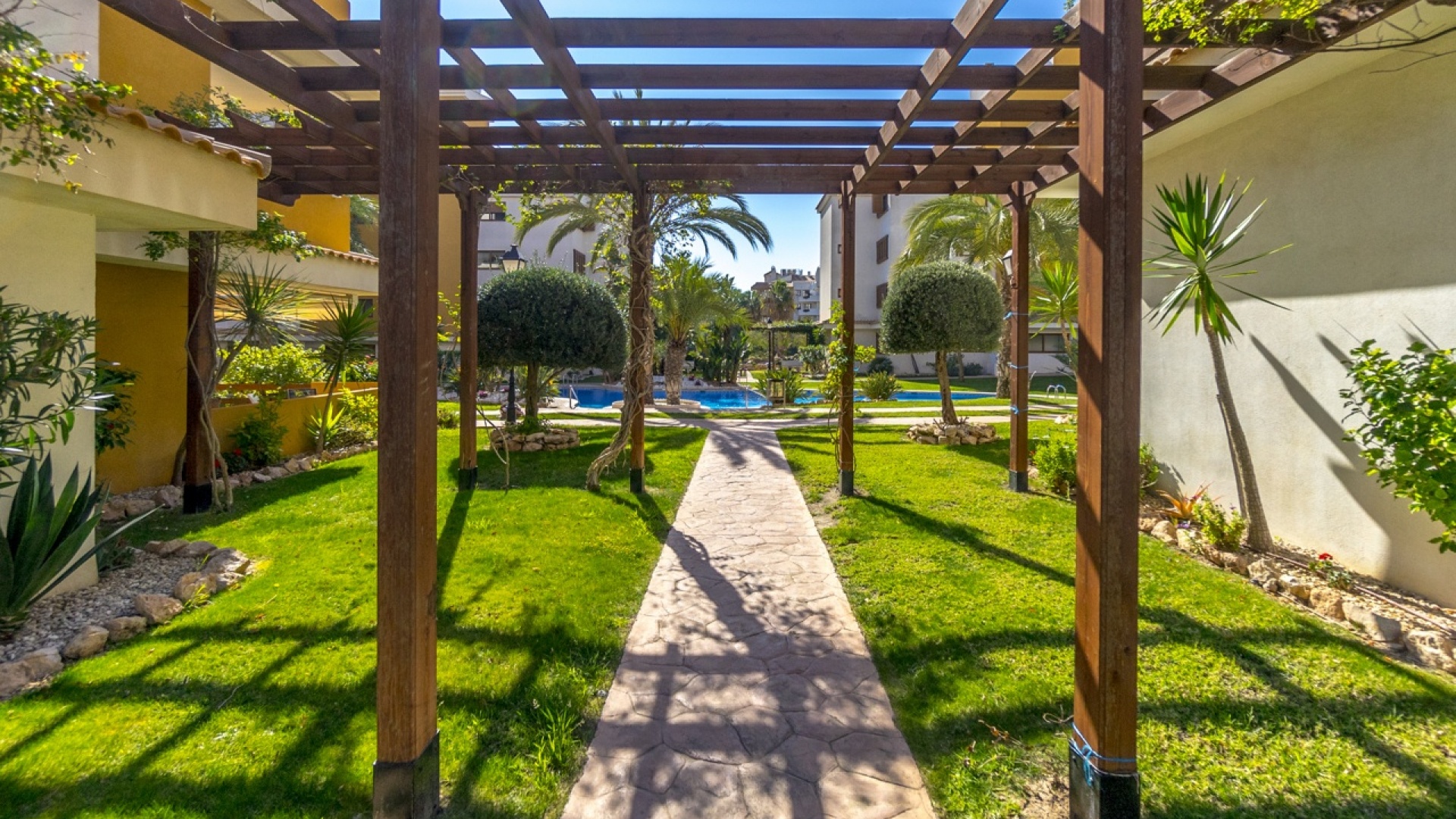 Revente - Appartement - Punta Prima - la entrada