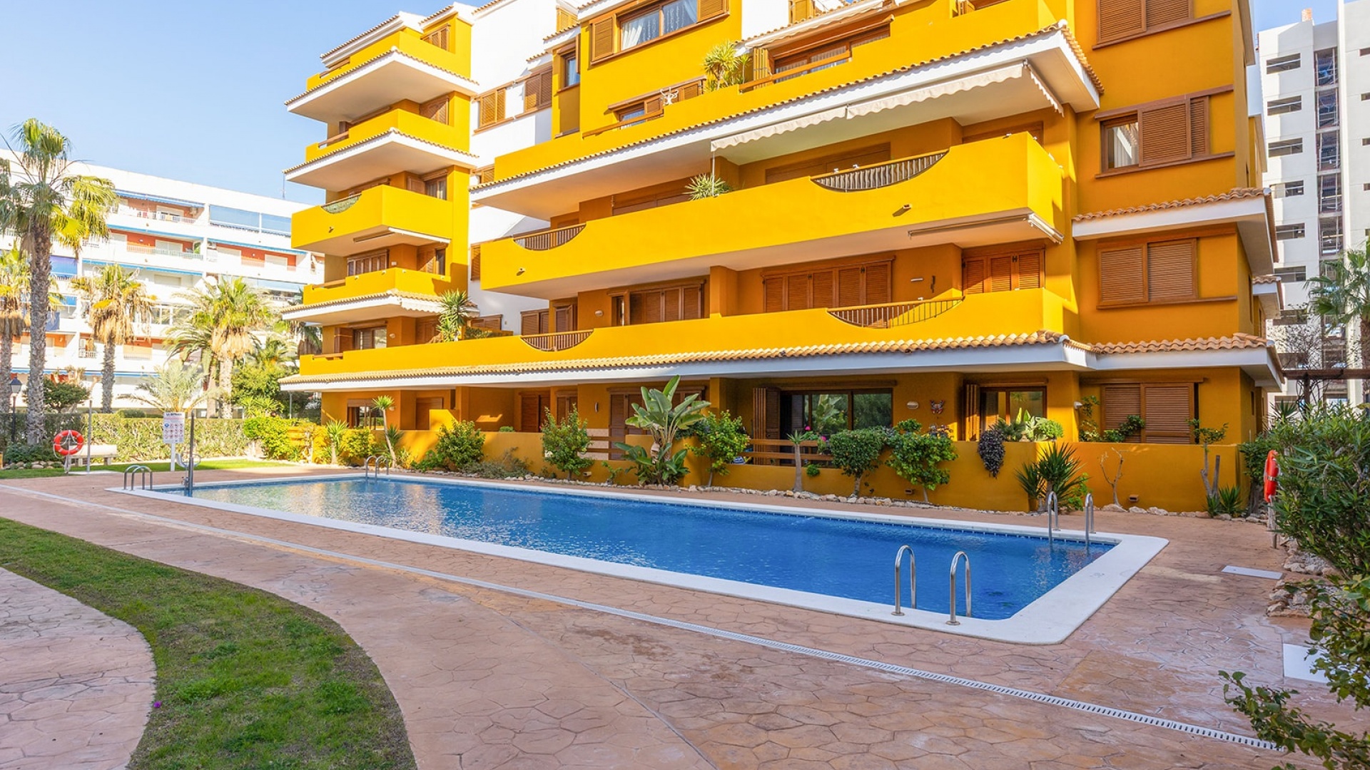 Revente - Appartement - Punta Prima - la entrada
