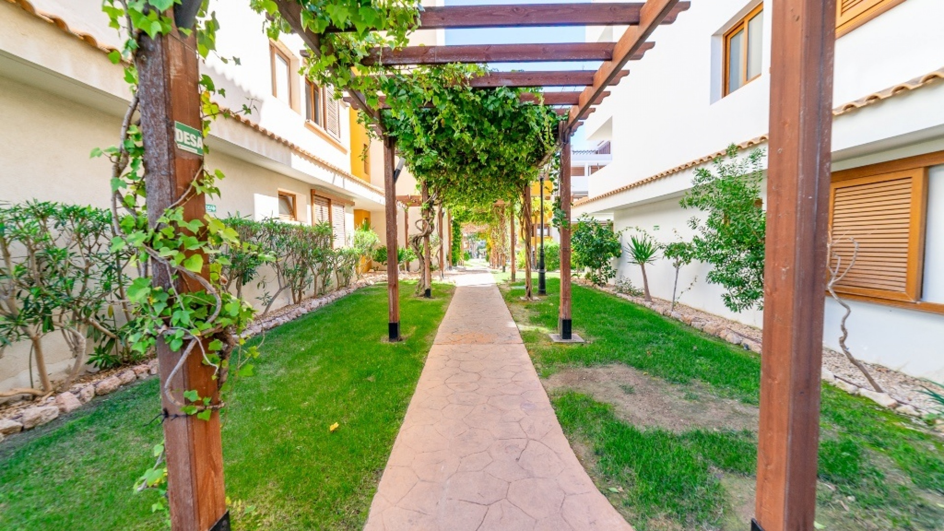Revente - Appartement - Punta Prima - la entrada