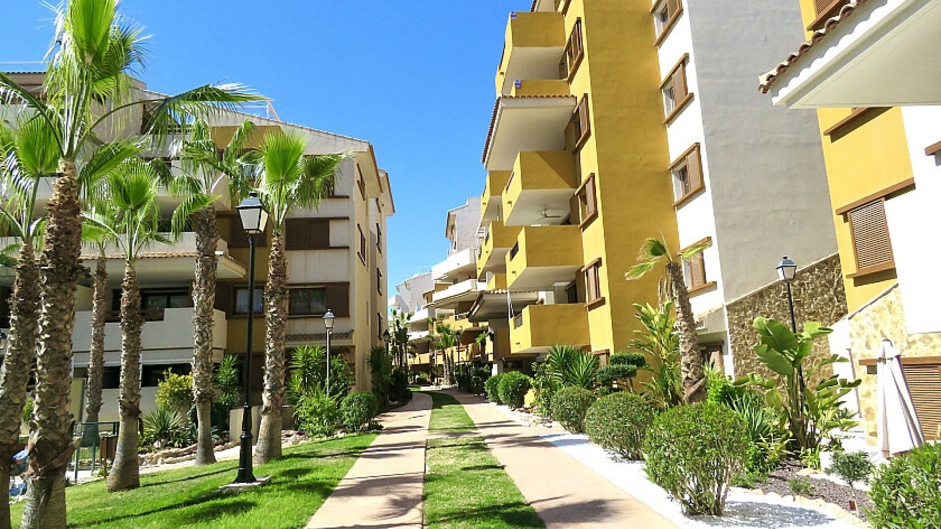 Revente - Appartement - Punta Prima - La Recoleta