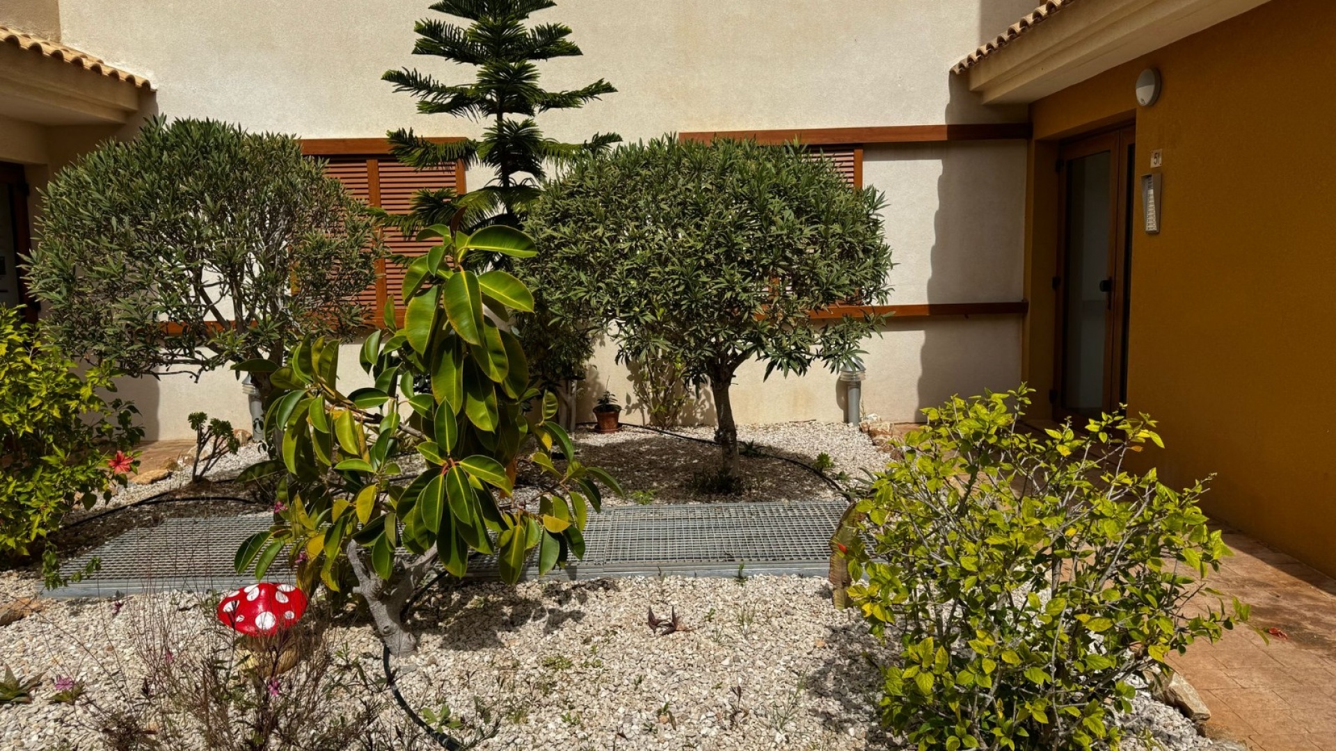 Revente - Appartement - Punta Prima - La Recoleta