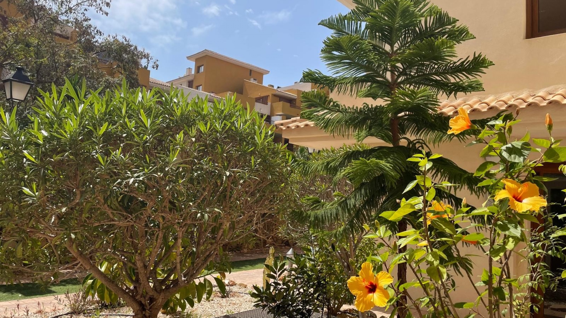 Revente - Appartement - Punta Prima - La Recoleta