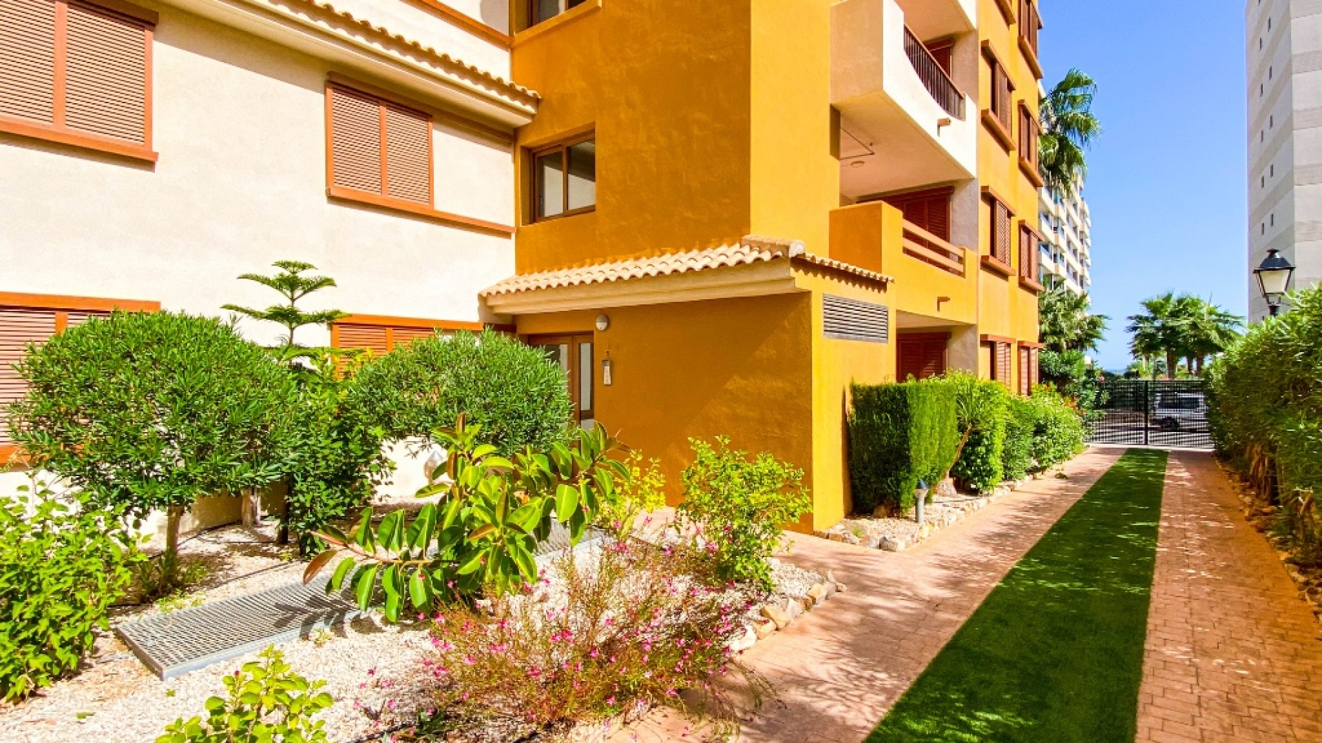 Revente - Appartement - Punta Prima - La Recoleta