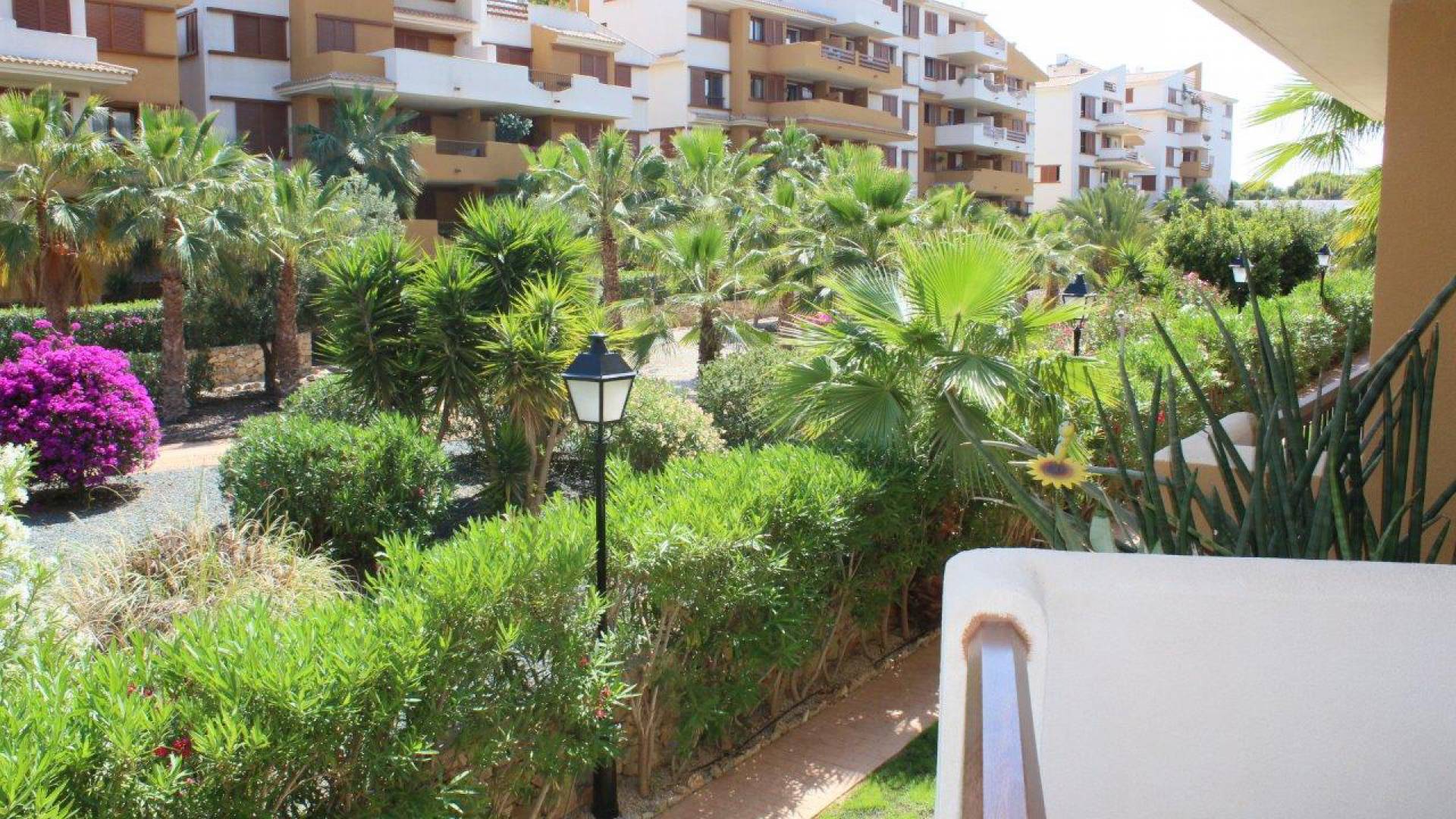 Revente - Appartement - Punta Prima - La Recoleta