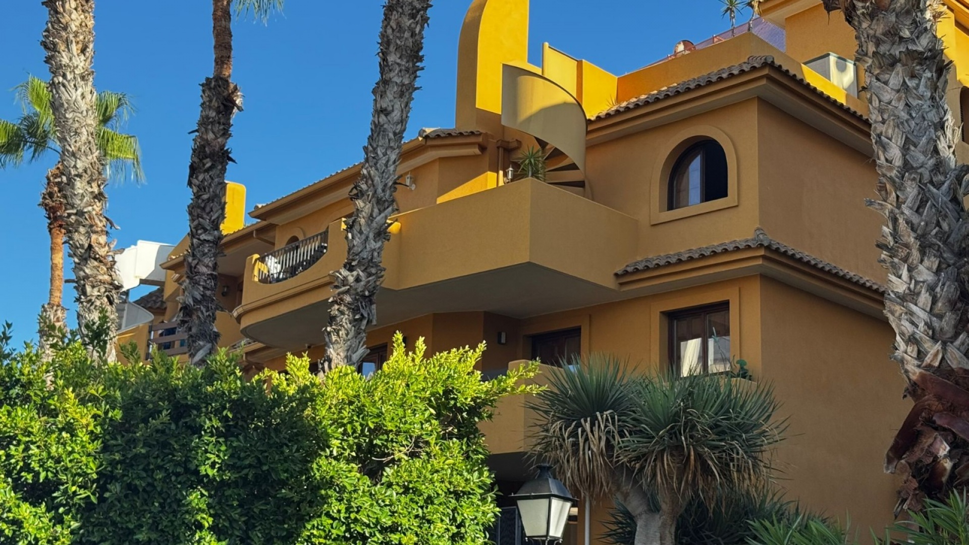 Revente - Appartement - Punta Prima - panorama park