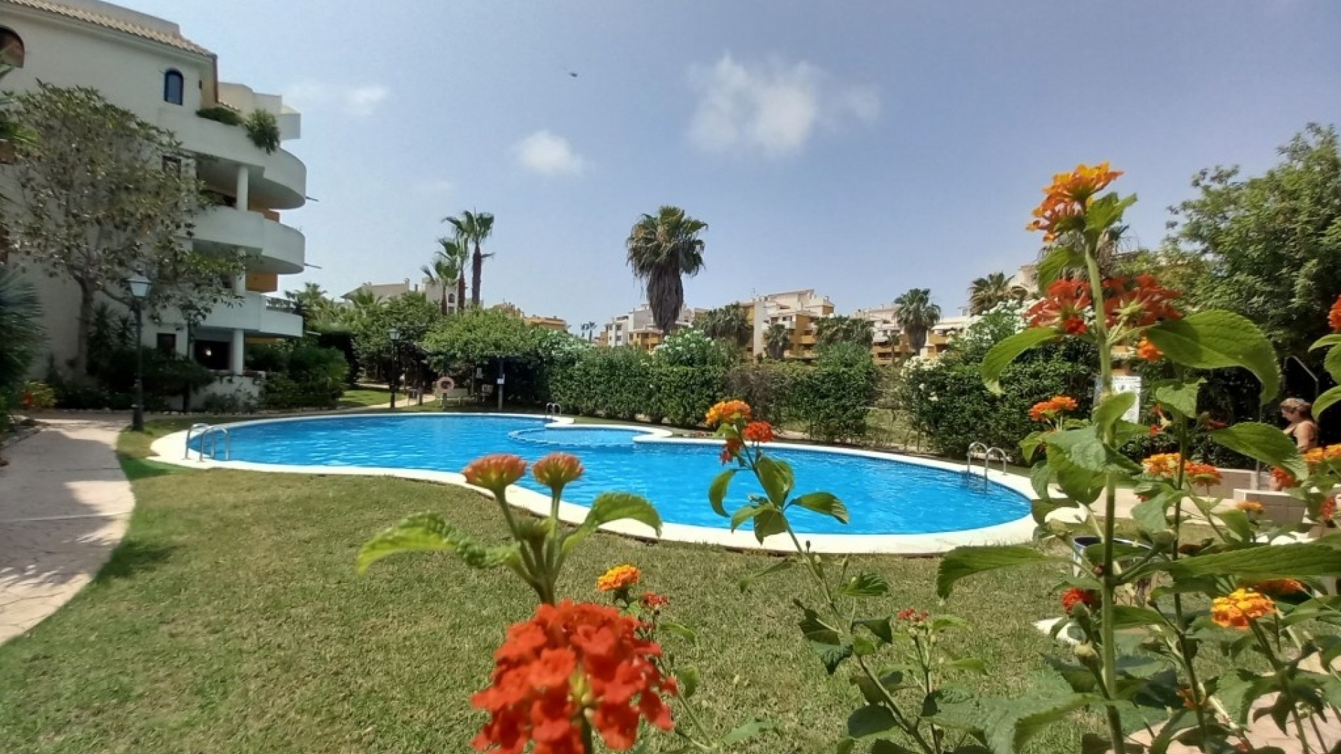 Revente - Appartement - Punta Prima - panorama park