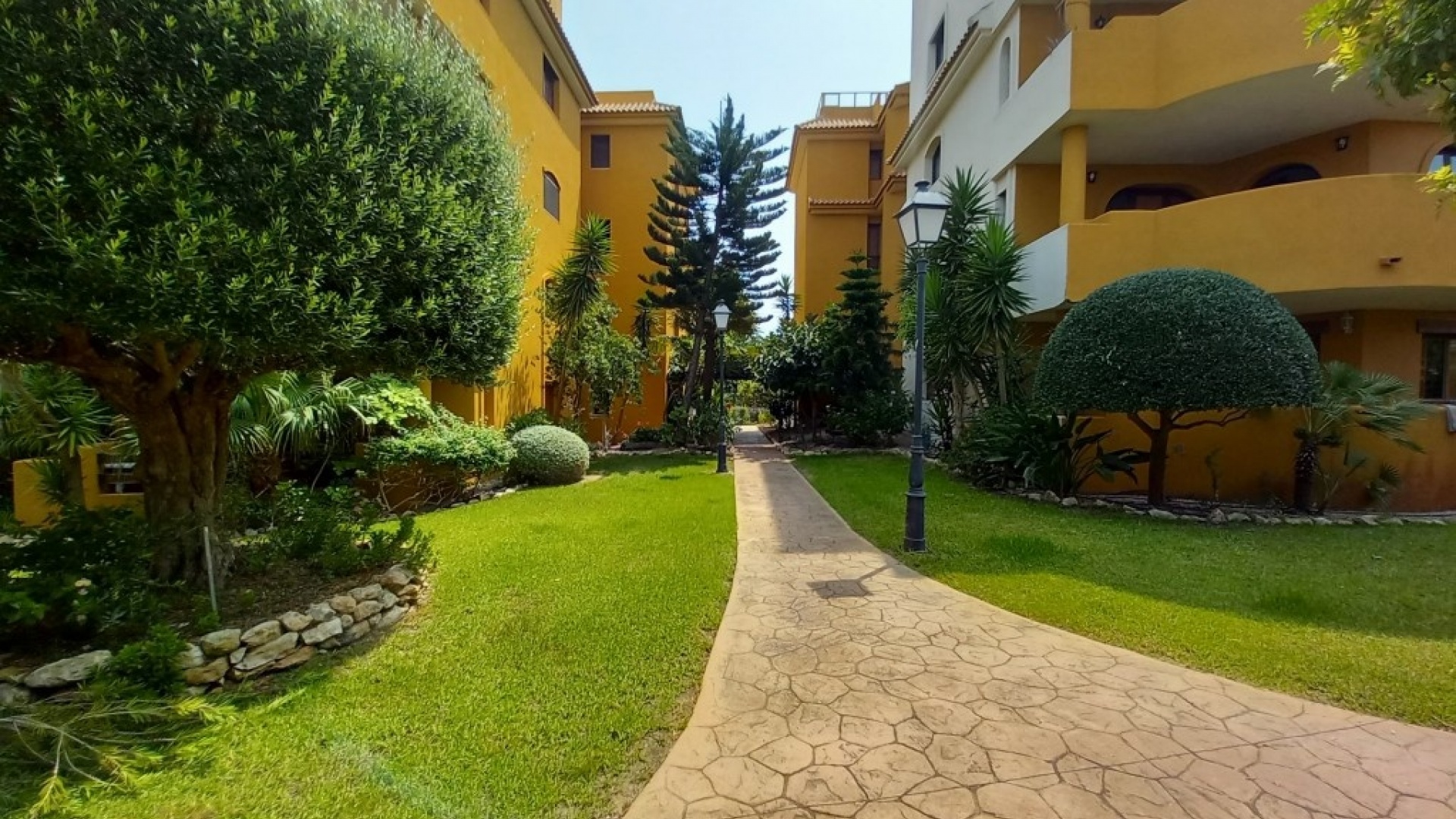 Revente - Appartement - Punta Prima - panorama park