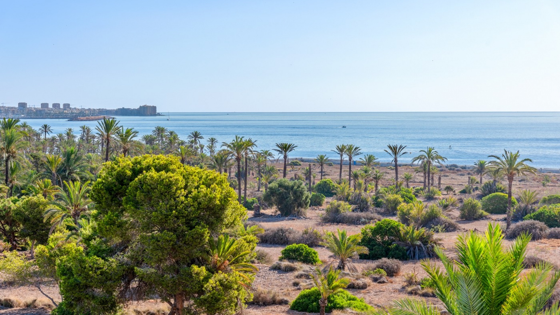 Revente - Appartement - Punta Prima - Res. Ocean Dream