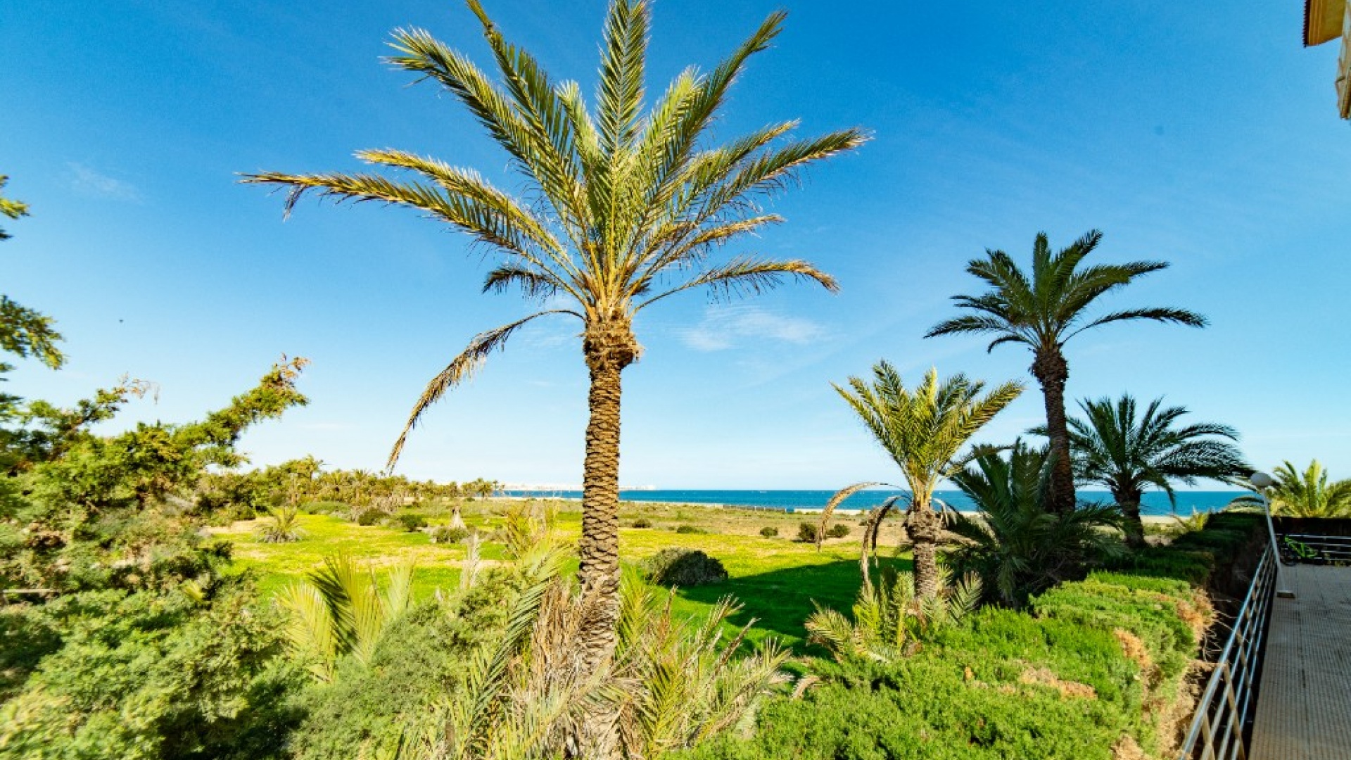 Revente - Appartement - Punta Prima - rocio del mar