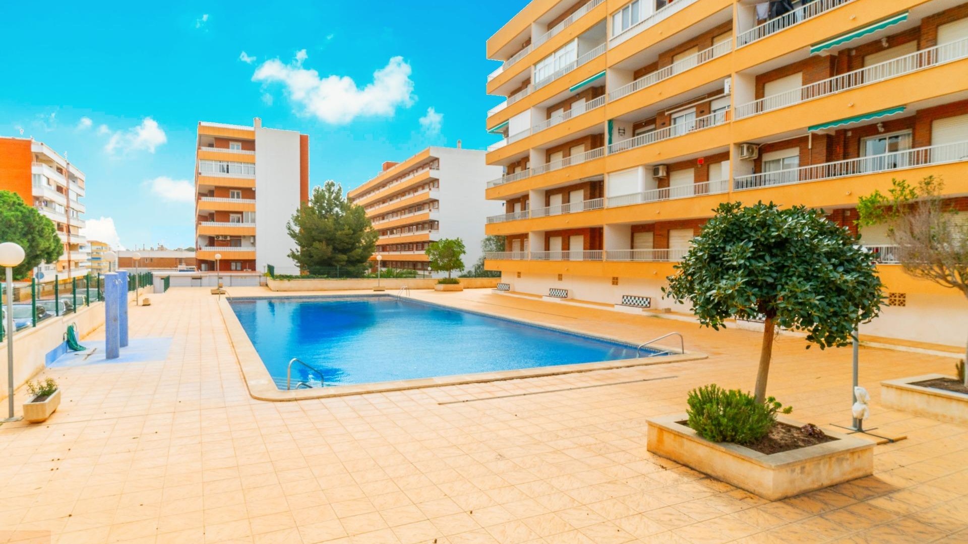 Revente - Appartement - Punta Prima - rocio del mar